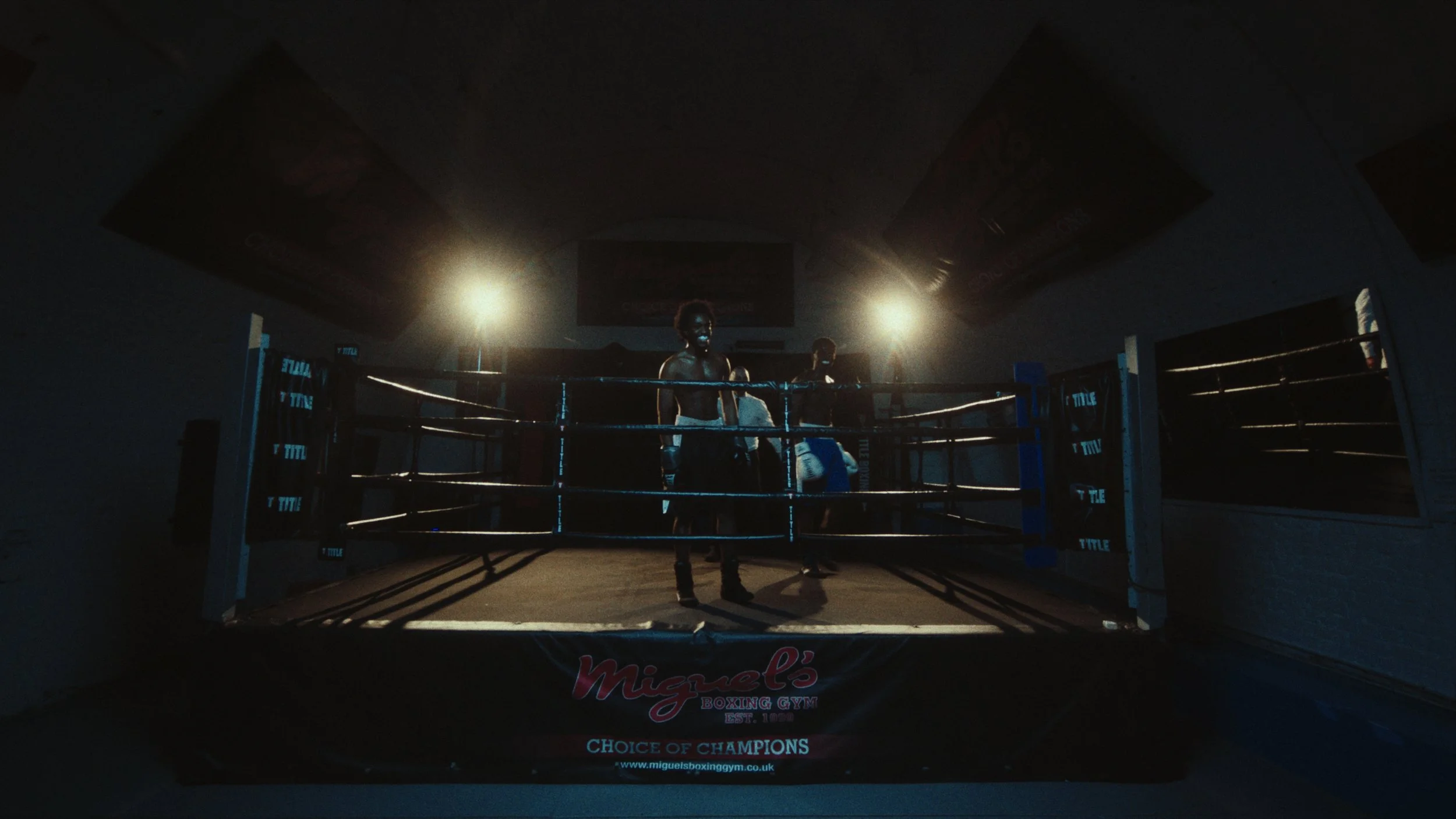 Still 2026-02-24 155616_1.81.14-Edit.jpg