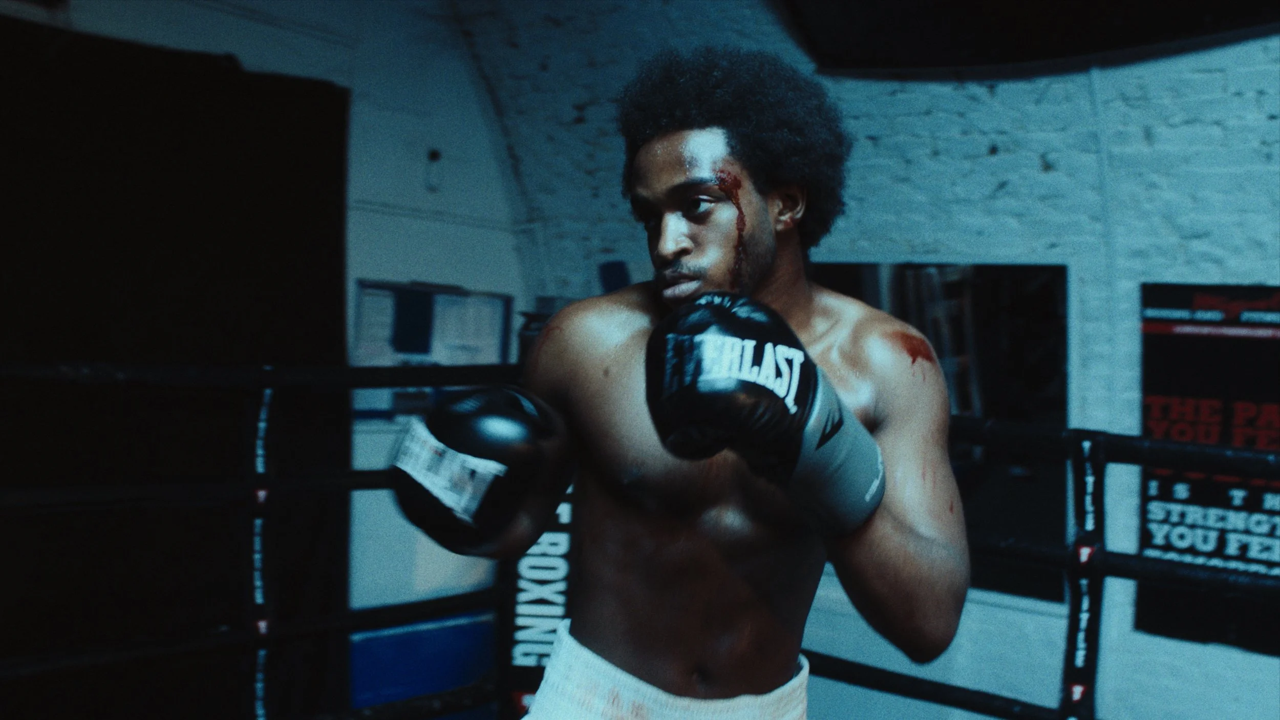 Still 2026-02-24 155616_1.78.3.jpg