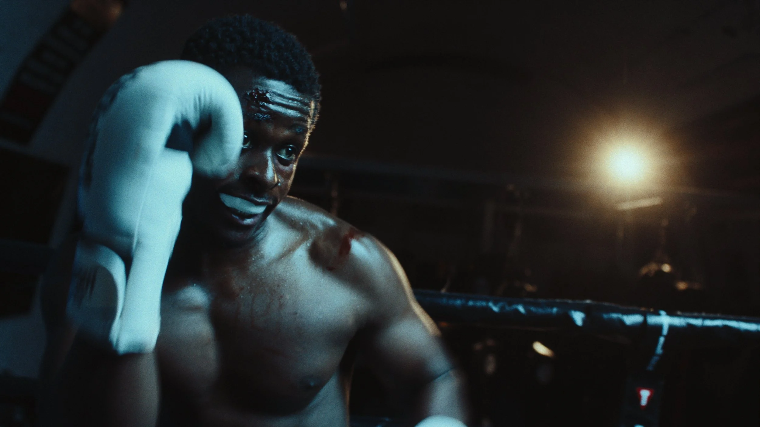 Still 2026-02-24 155616_1.78.1.jpg