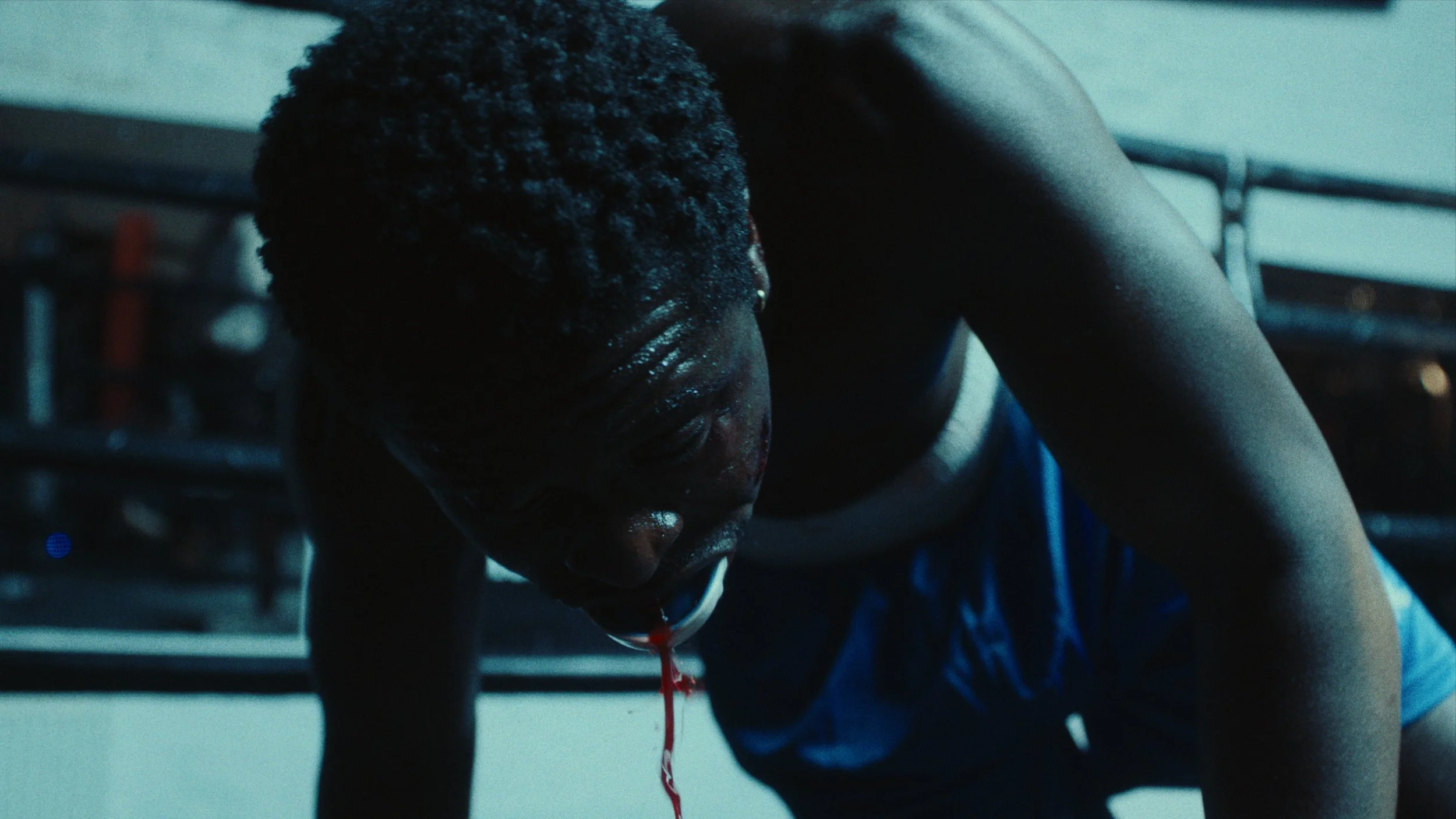 Still 2026-02-24 155616_1.73.17.jpg