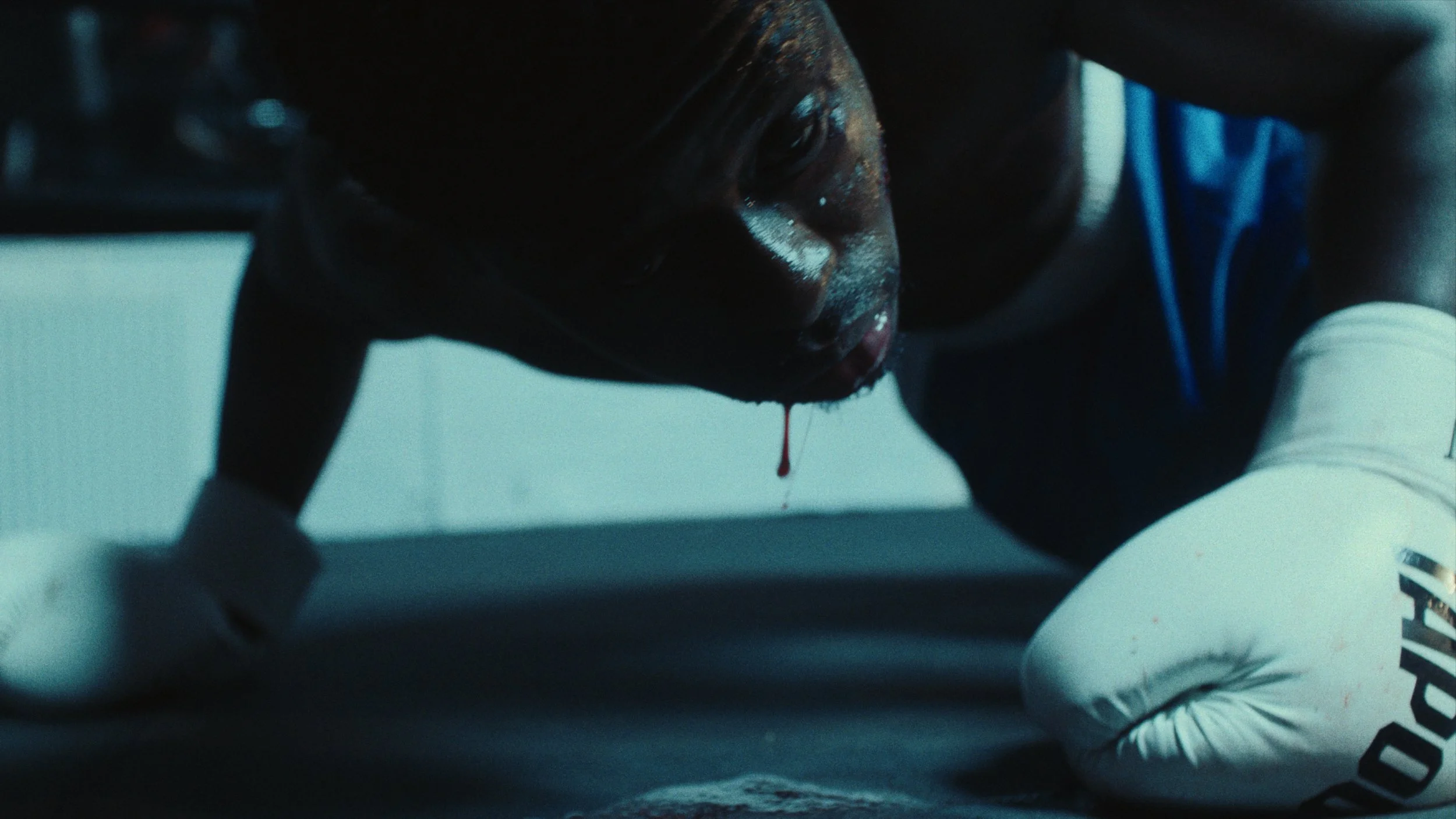 Still 2026-02-24 155616_1.73.15.jpg