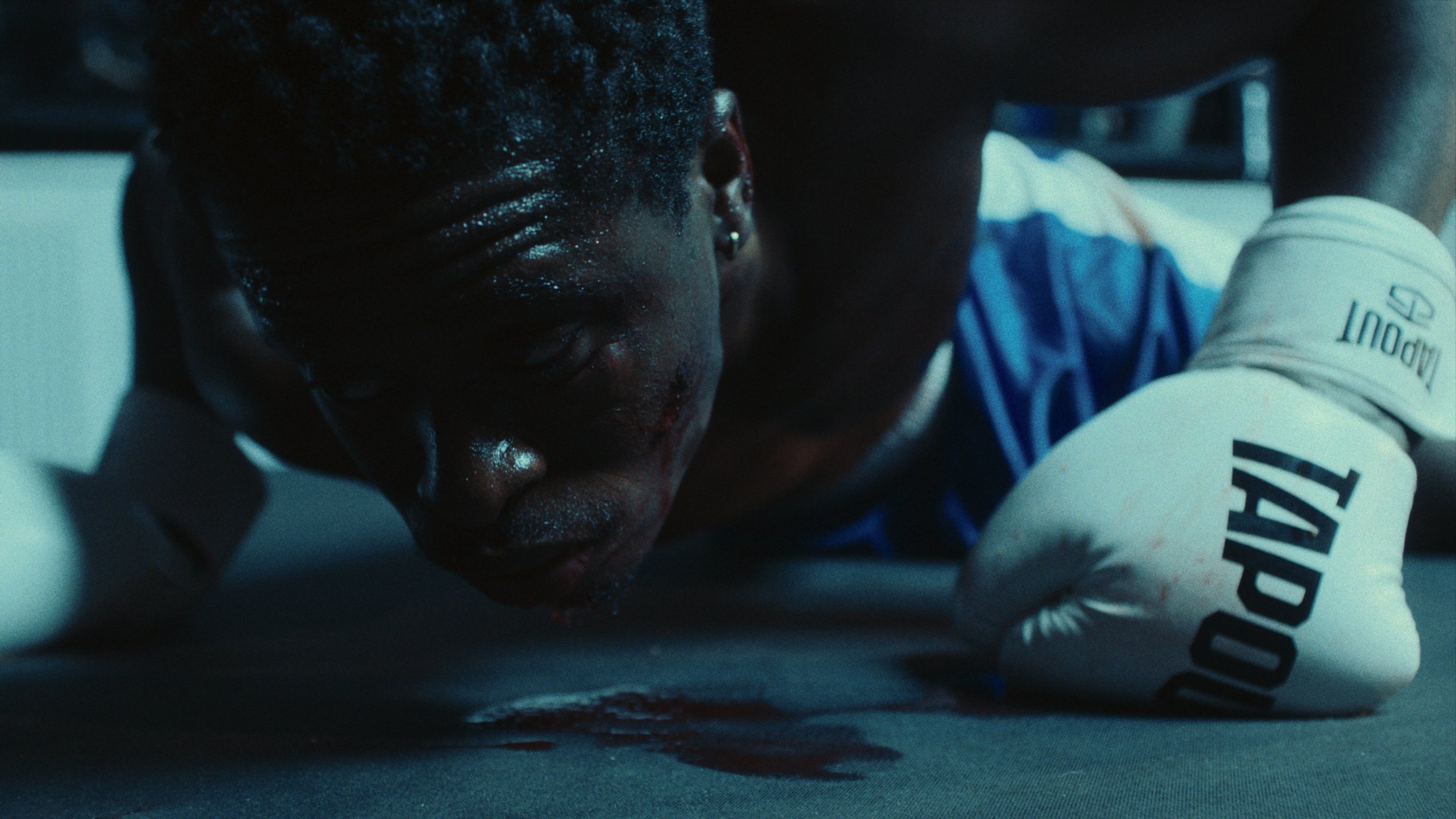 Still 2026-02-24 155616_1.73.8.jpg