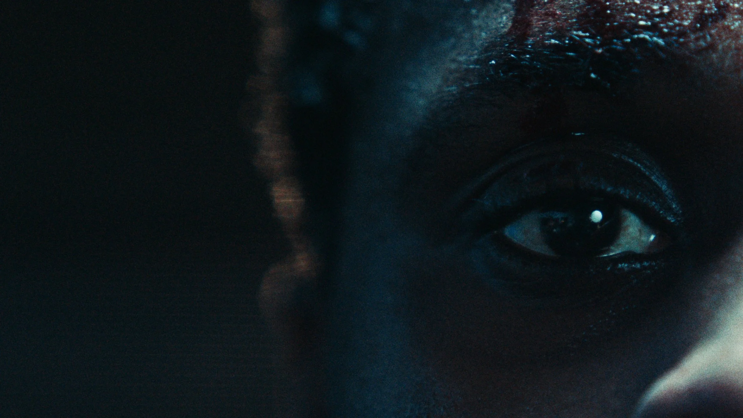 Still 2026-02-24 155616_1.69.2.jpg