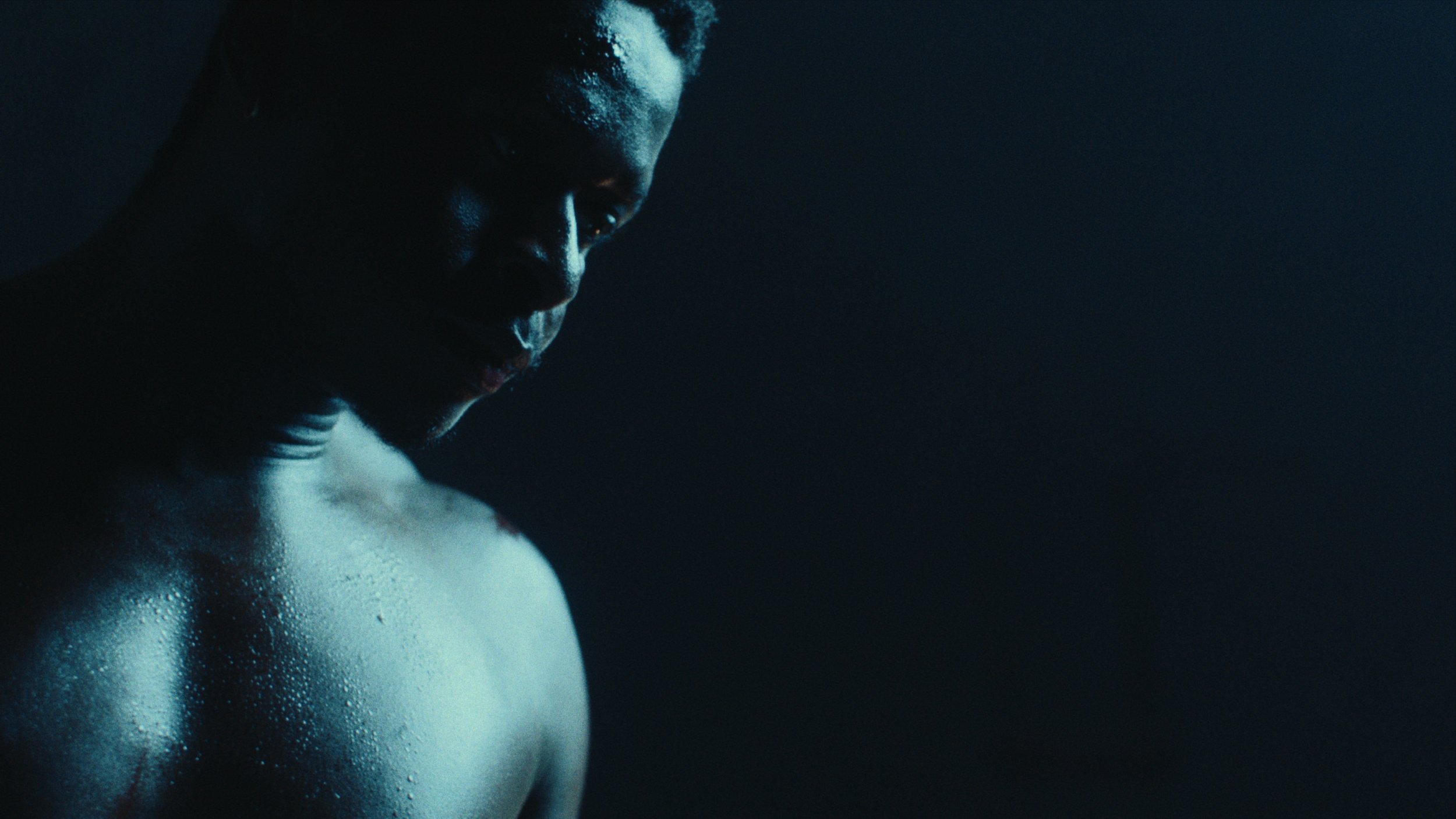 Still 2026-02-24 155616_1.49.8.jpg