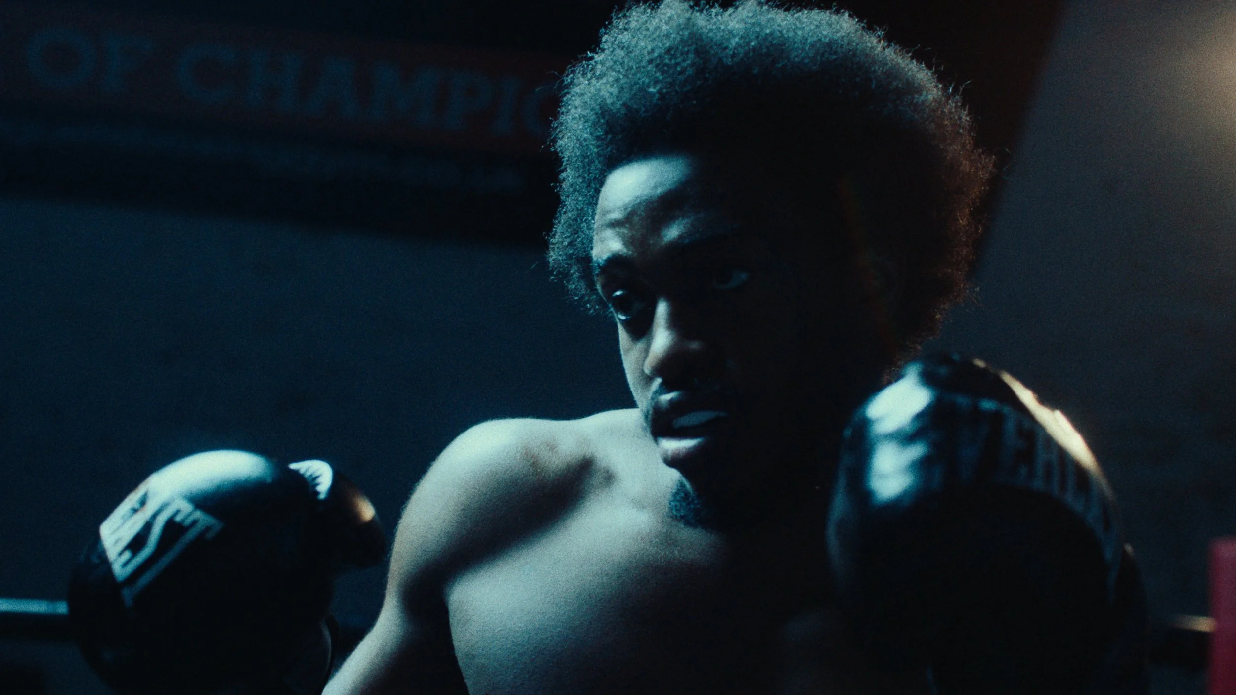 Still 2026-02-24 155616_1.31.11.jpg