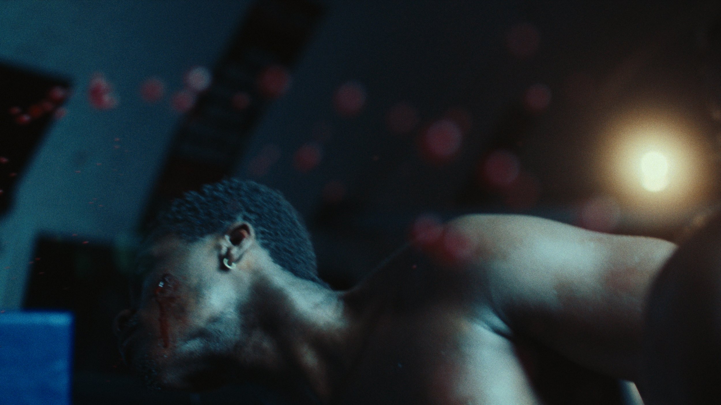 Still 2026-02-24 155616_1.44.1.jpg