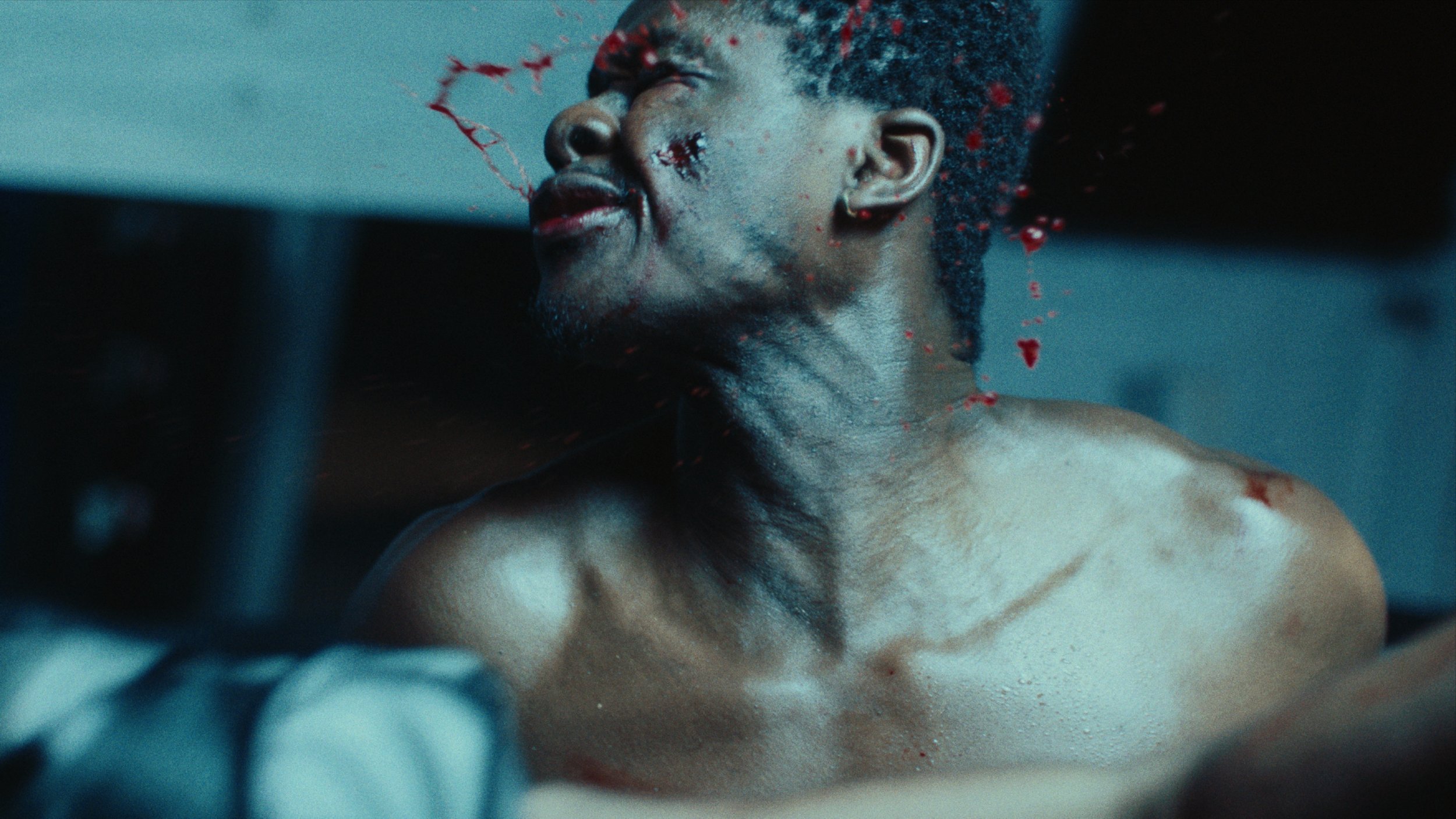 Still 2026-02-24 155616_1.52.6.jpg