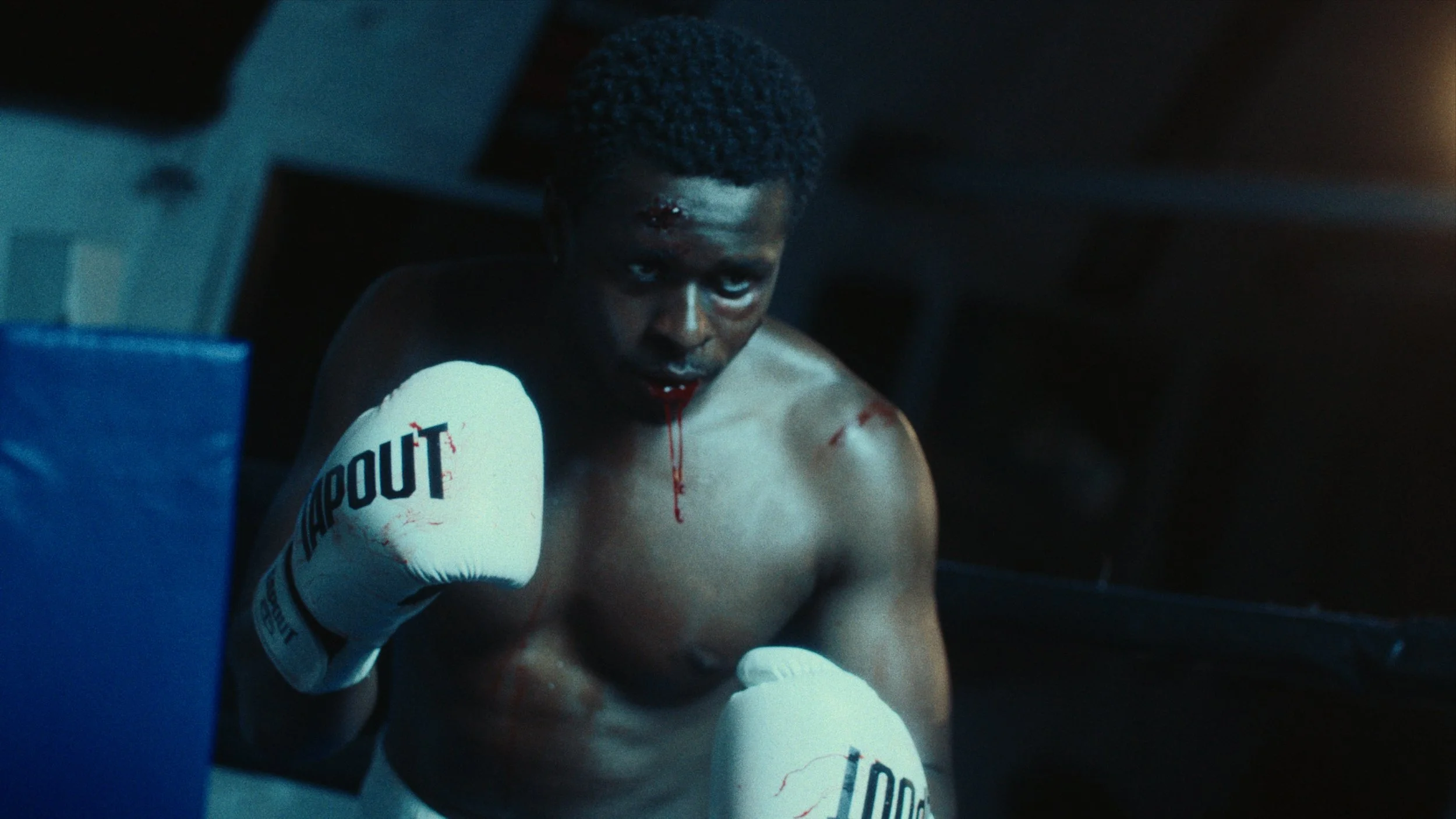 Still 2026-02-24 155616_1.44.3.jpg