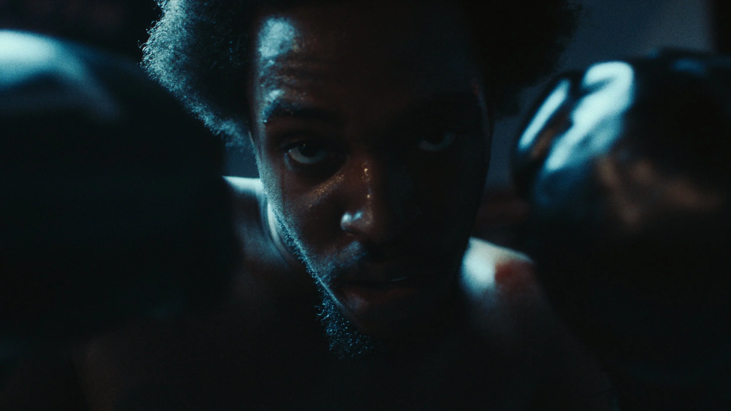 Still 2026-02-24 155616_1.24.9.jpg