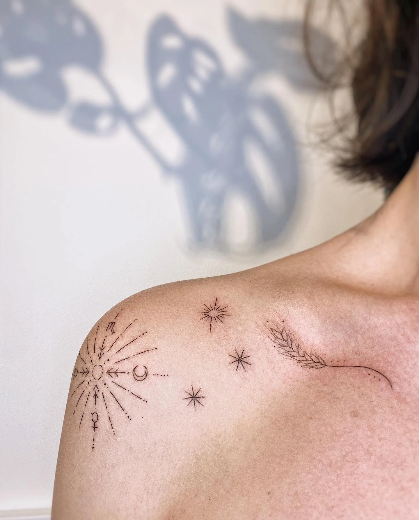 A4297189-40F4-4788-8D03-722111A25650 (1).jpeg
