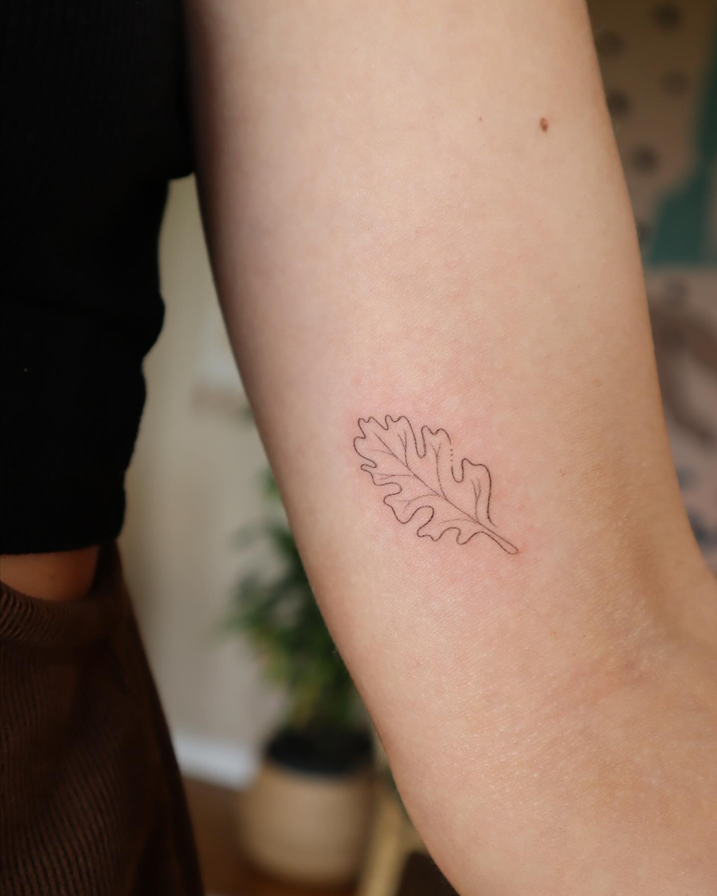 Handpoked botanicals I&rsquo;ve made lately ❀ ❁ ❃ ❊ ❋ ✣  Books open this Wednesday 24th April at 8am, booking form link will be on my bio and will be sent out to my newsletter folks too ❥ would love to do more delicate flowers and plants ♡

#handpoke