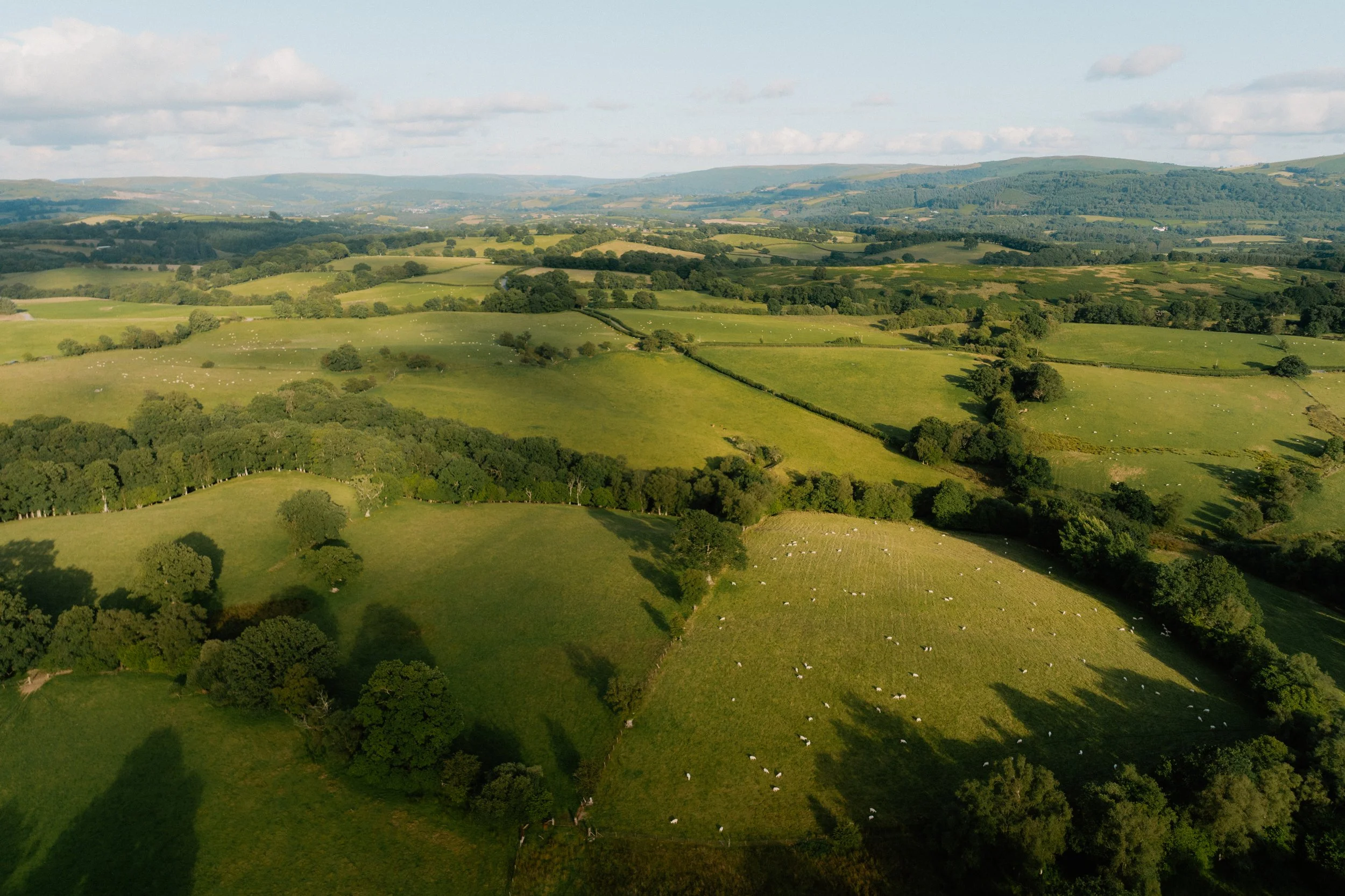 DJI_0468.jpg