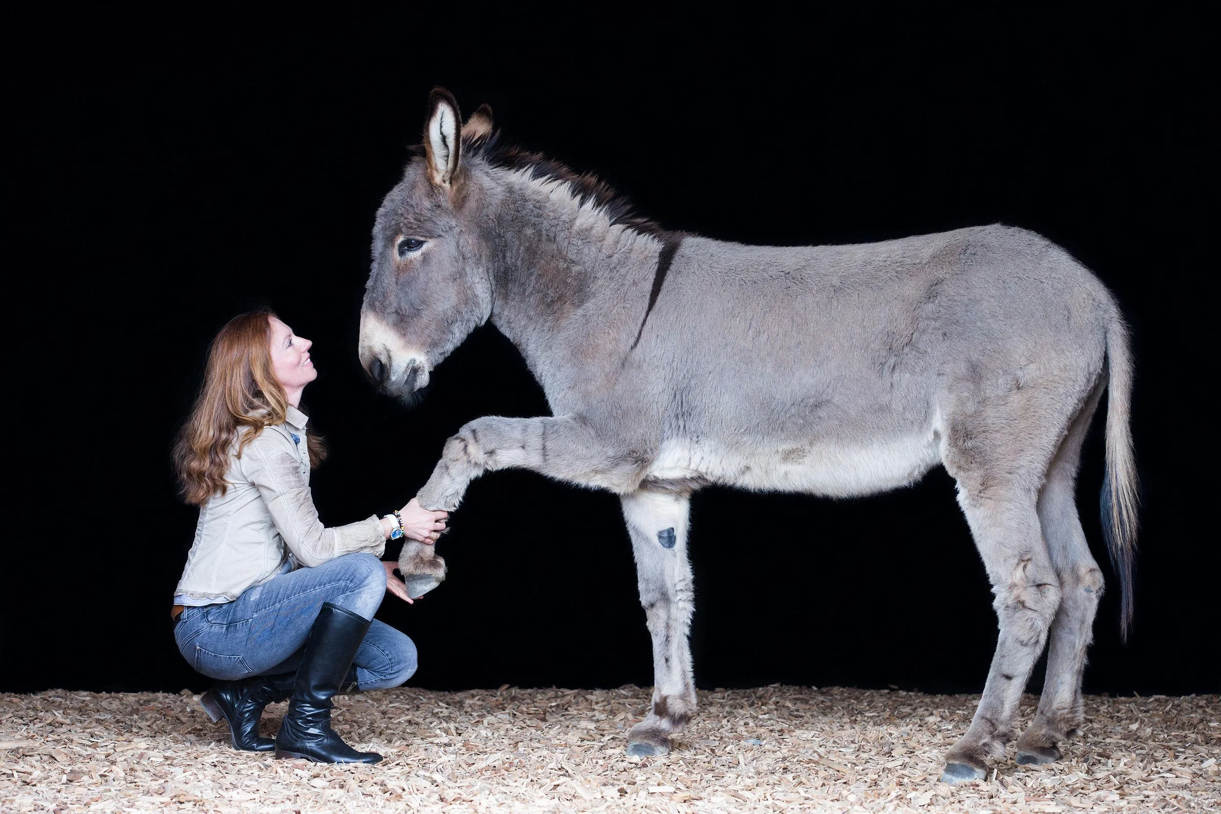 Resonanz – Regulationsmuster stabilisieren