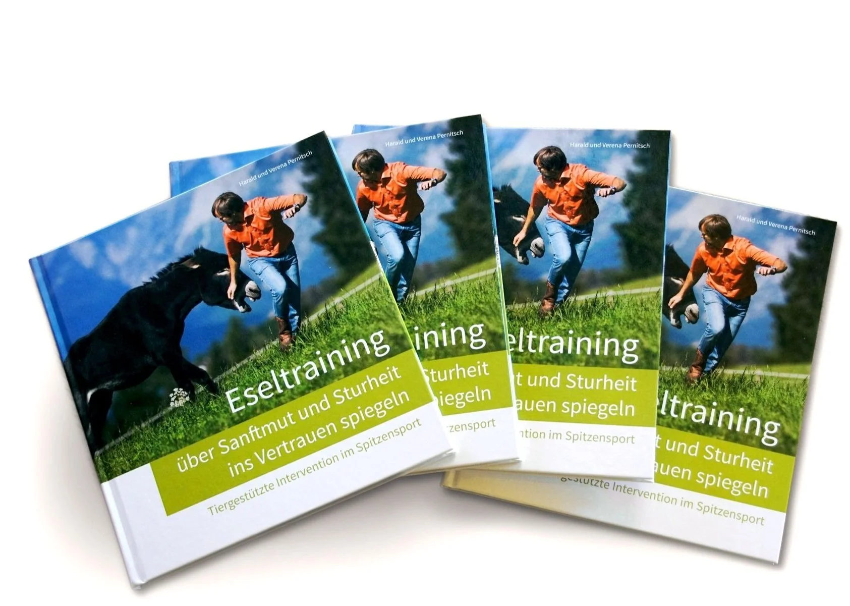 Eseltherapie - Methodik