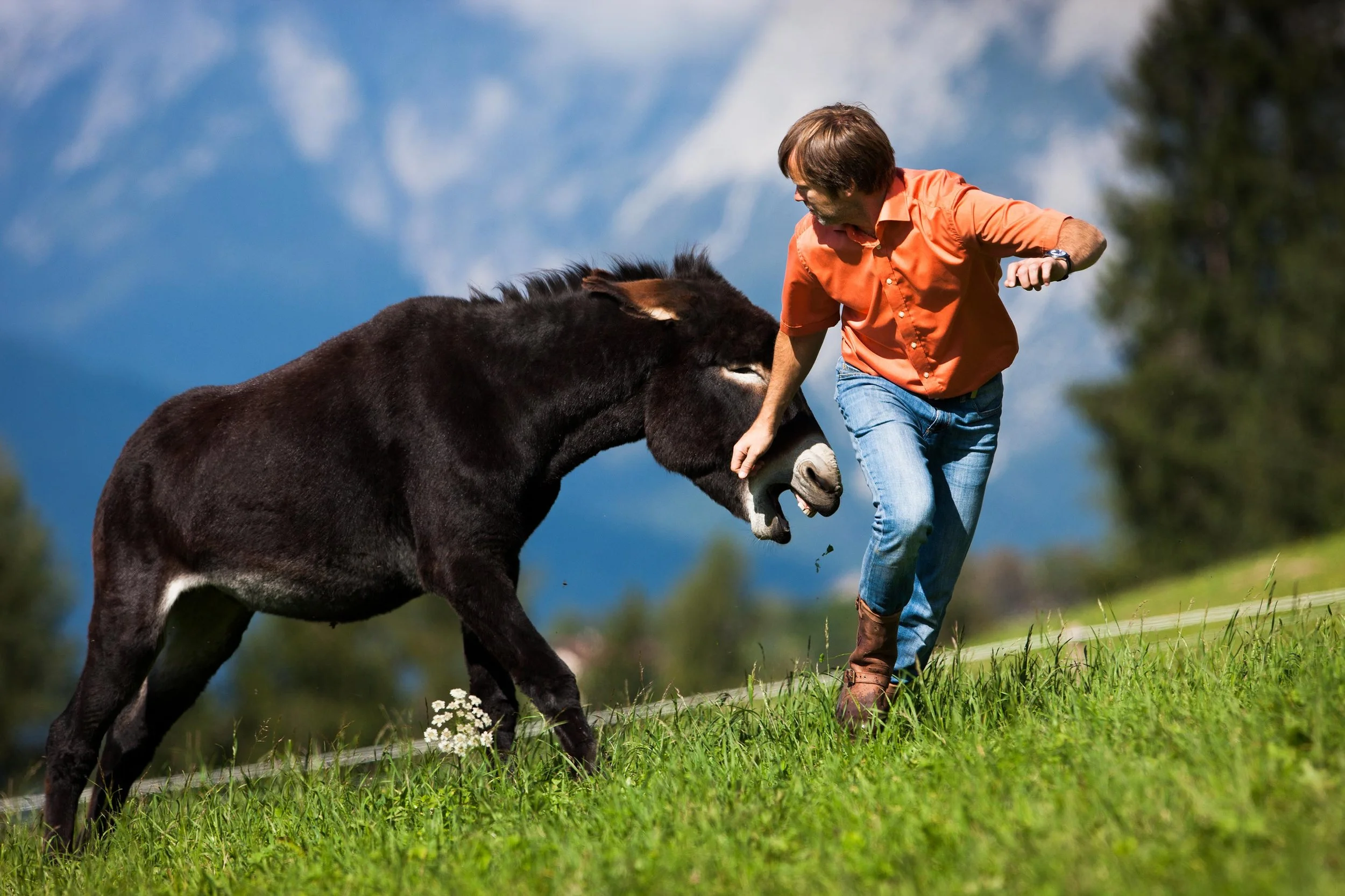 Resonanz – Regulationsmuster sichtbar machen