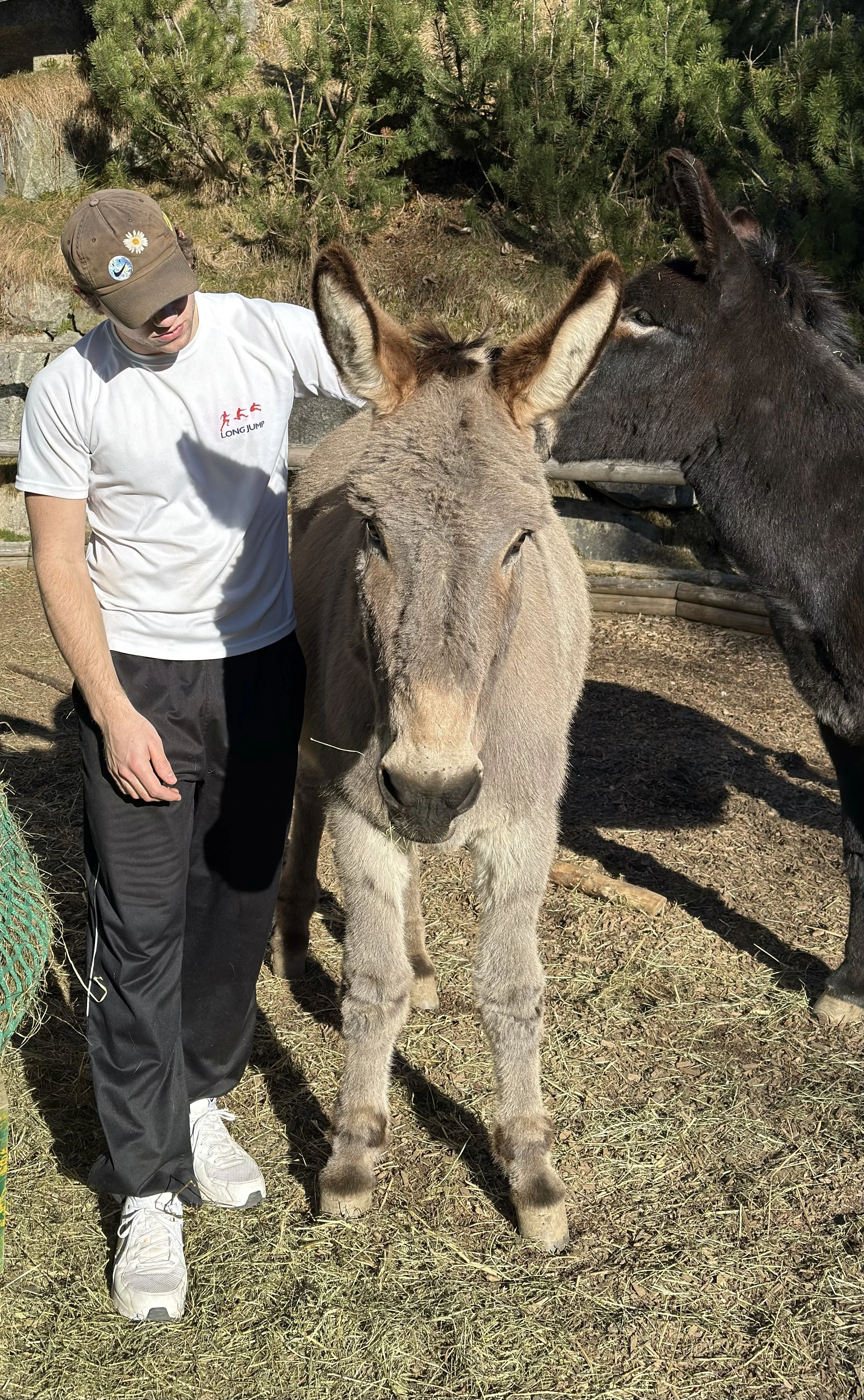 Readinessarbeit mit Eselresonanz – feine Orientierung im Naturraum