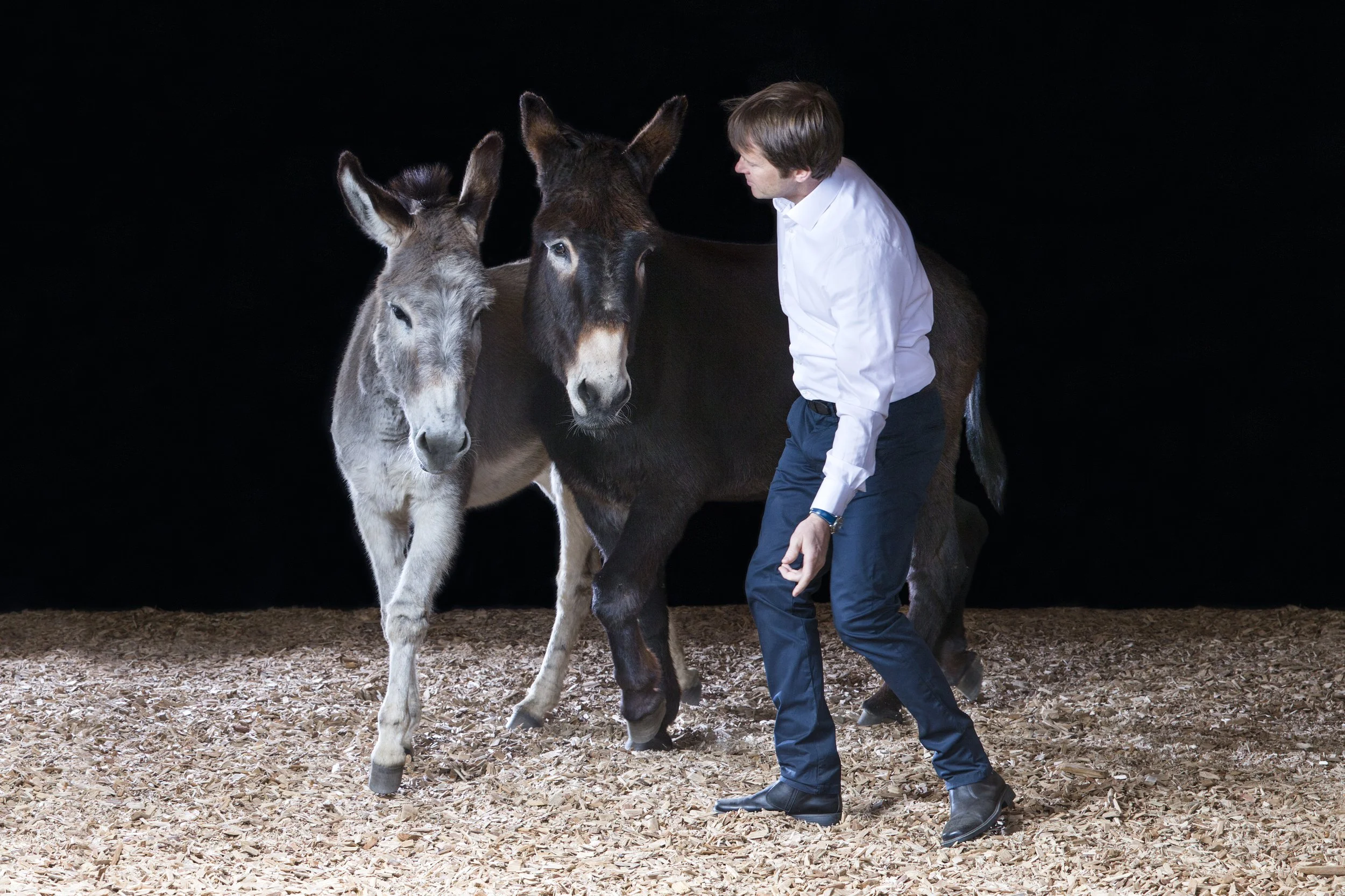 Innerer Stärke entwickeln