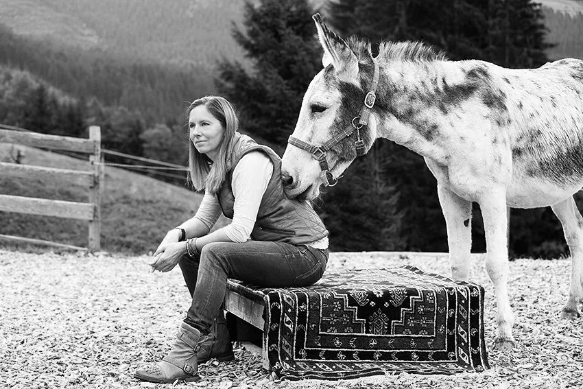 Weite Almfläche – Raum für Ruhe und innere Stabilisierung“
