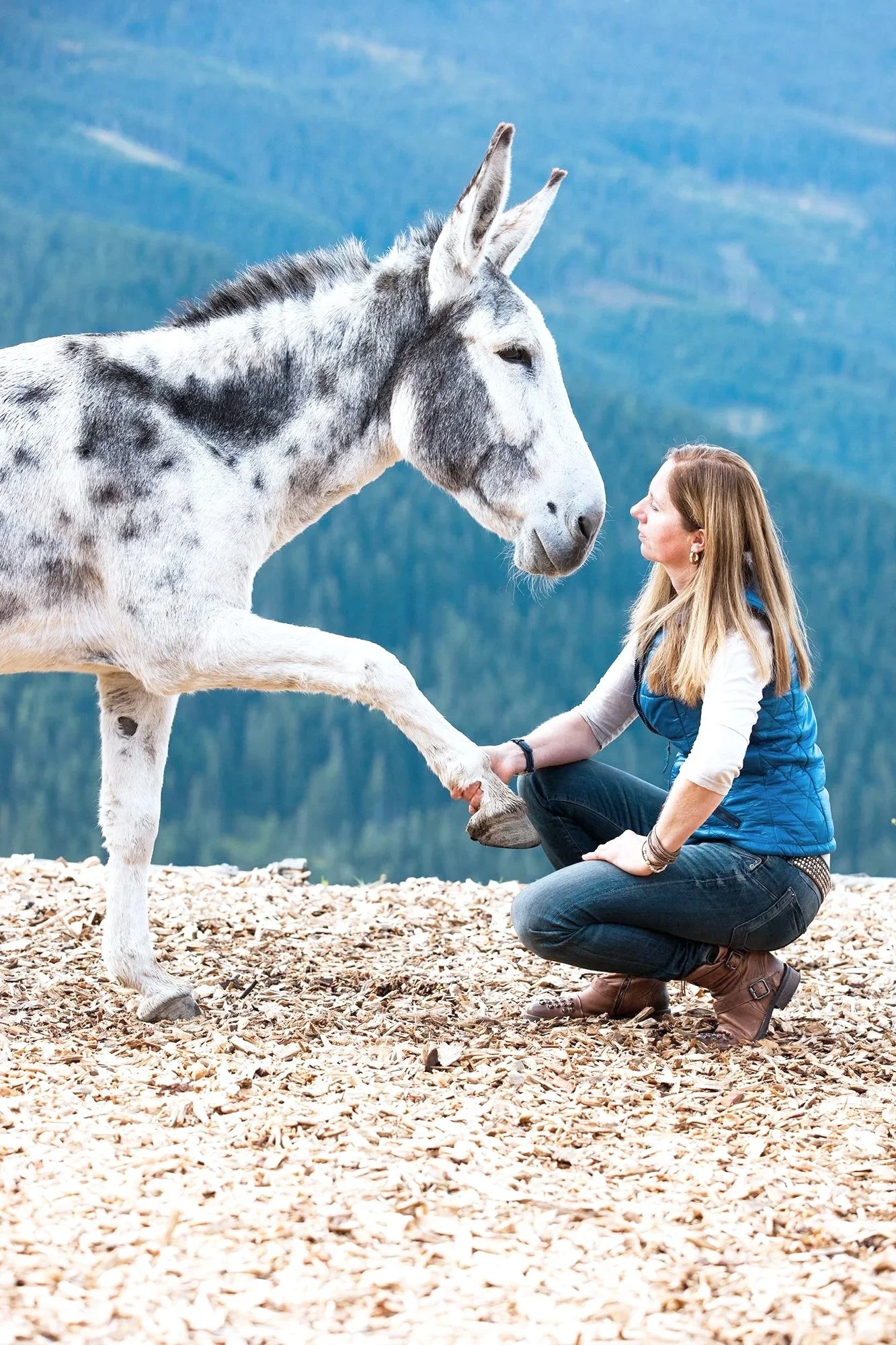 Eselresonanz beim Retreat in Tirol Pillberg