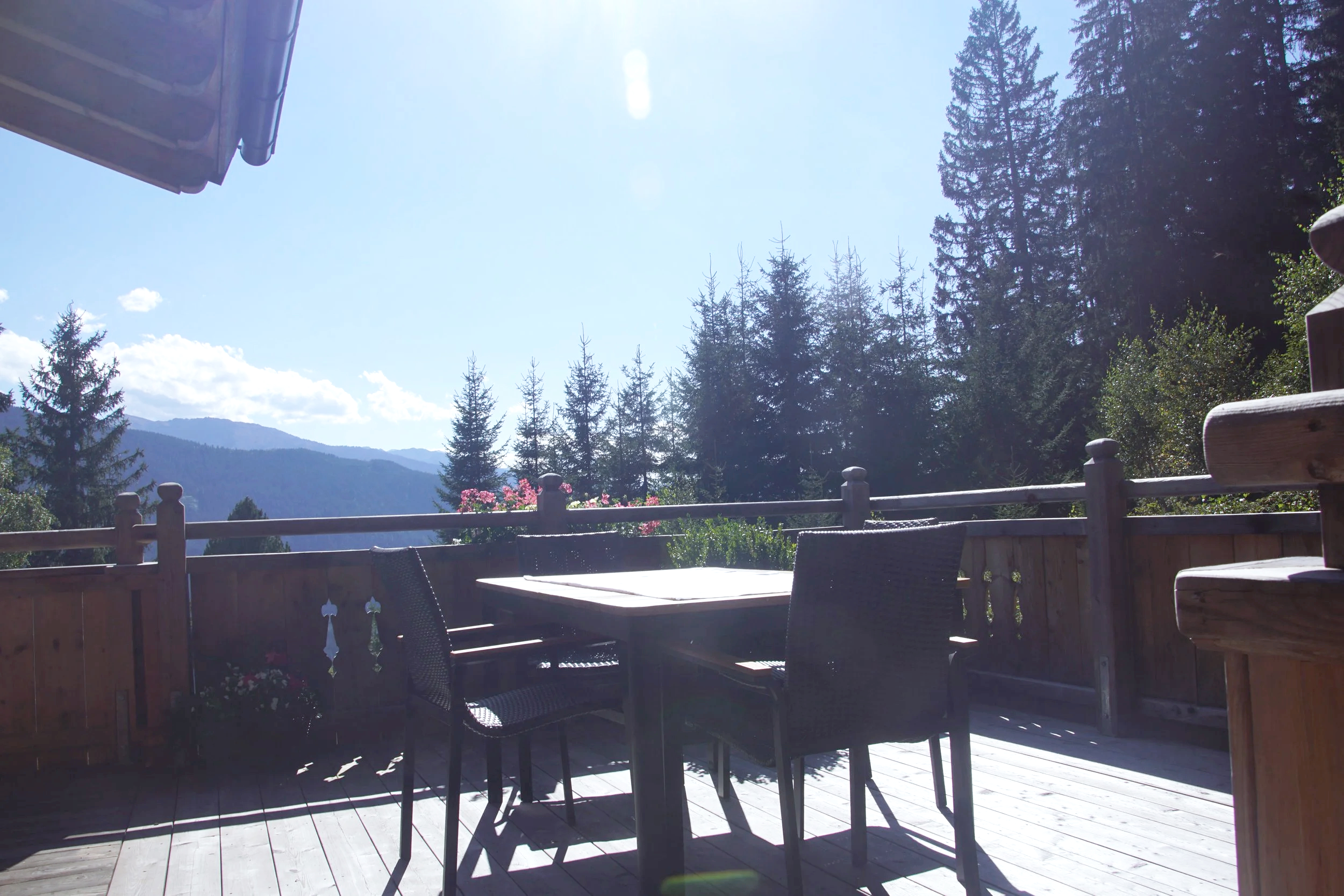 Ausblick von der Terasse Rückzugsraum "Wald"