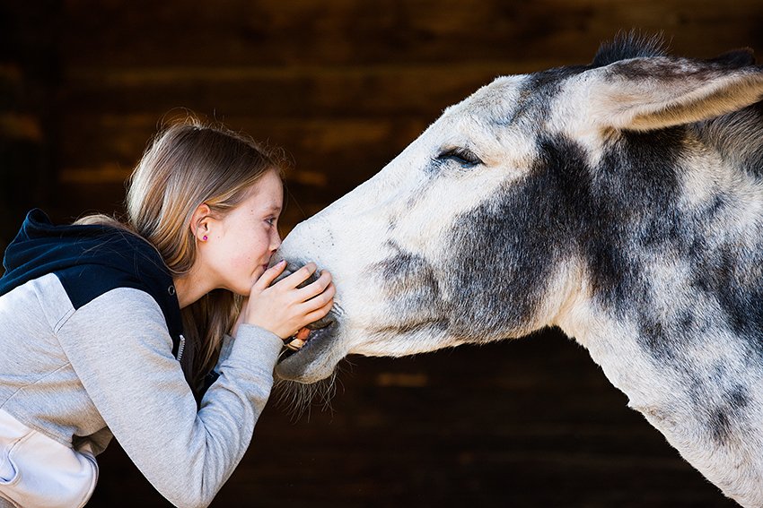 Readiness wiederfinden