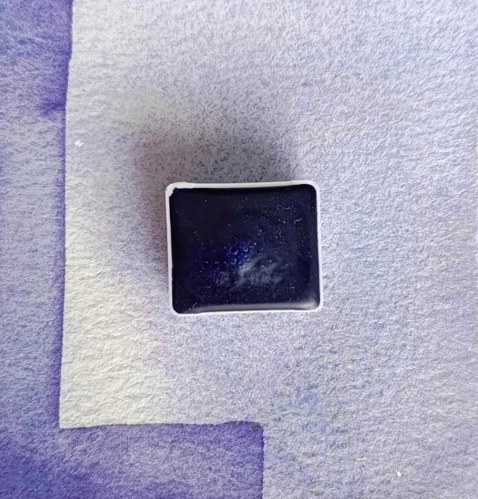 Bloom - Patreon Release