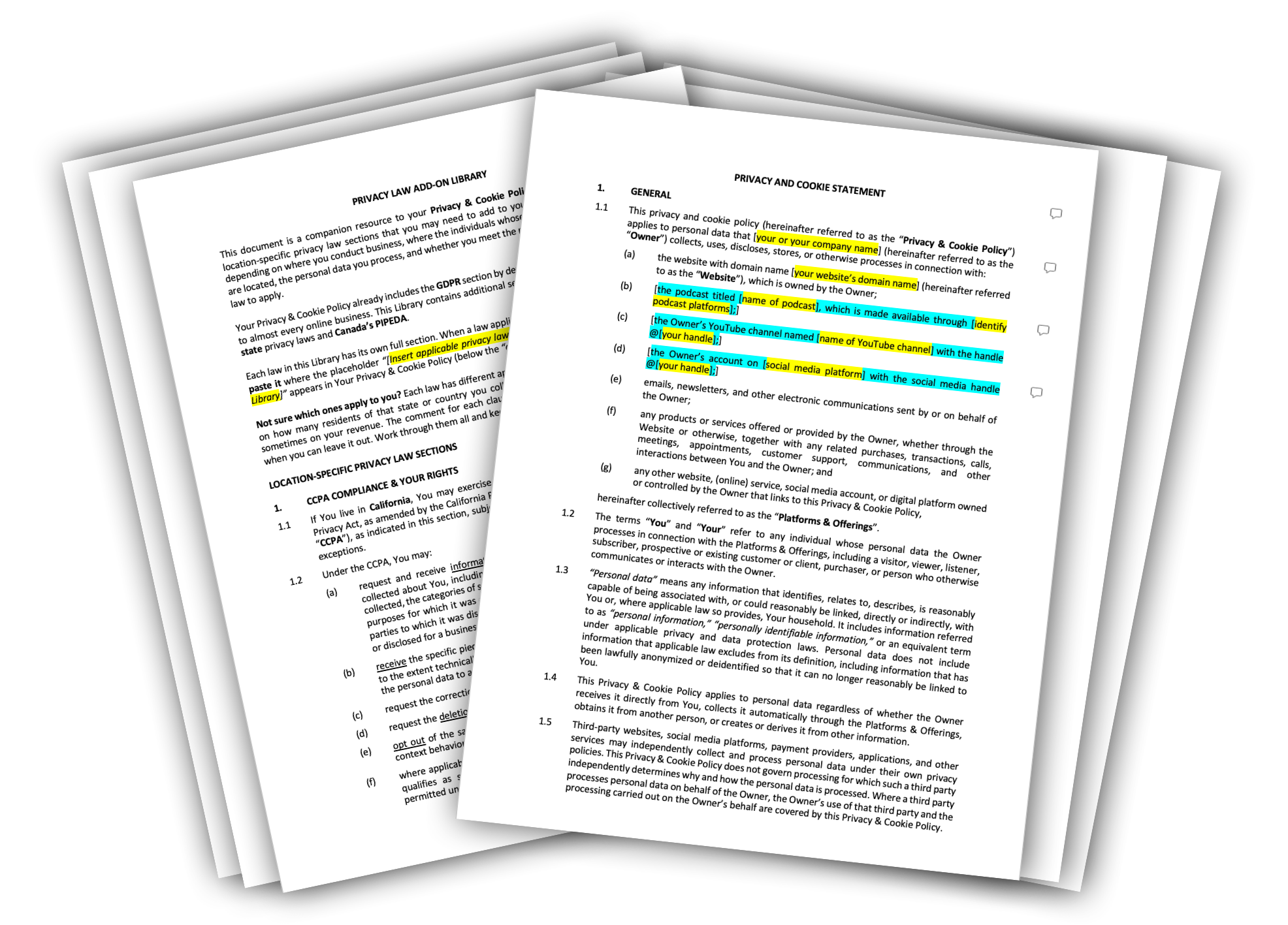 privacy policy template PDF