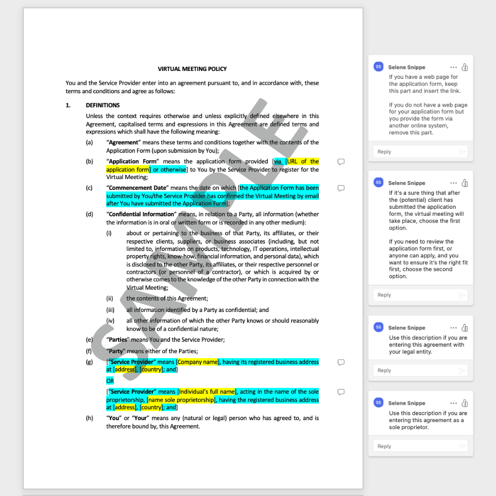 Virtual meeting policy sample