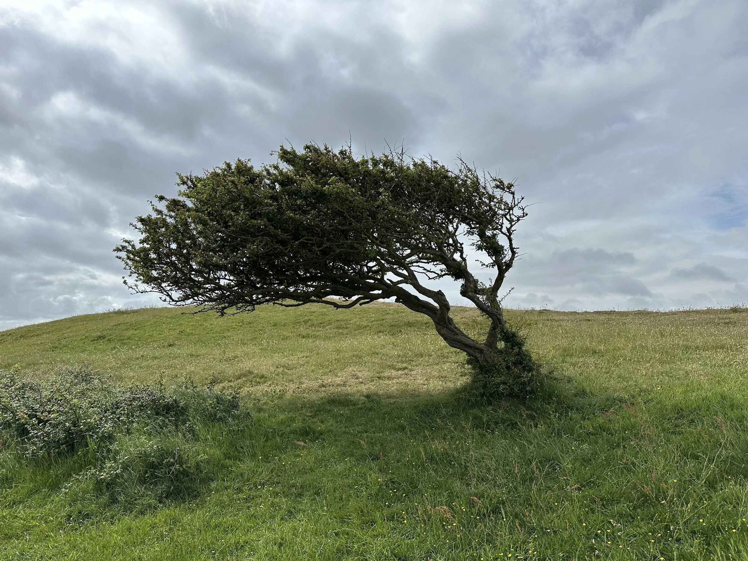 Reflections on Anxiety: A practice