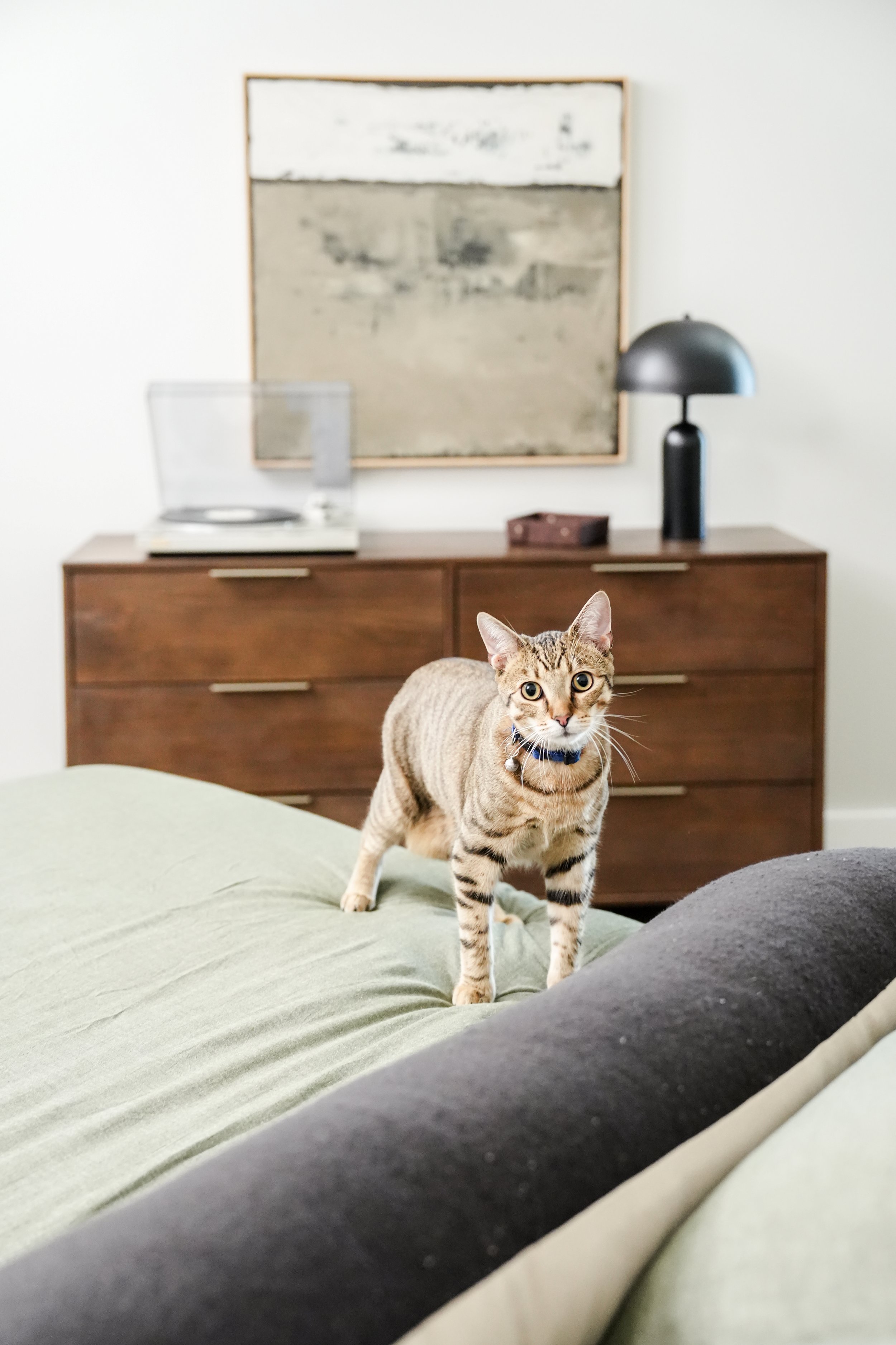 pb_lfs_ph_eve_bedroom_haven_52344.jpg
