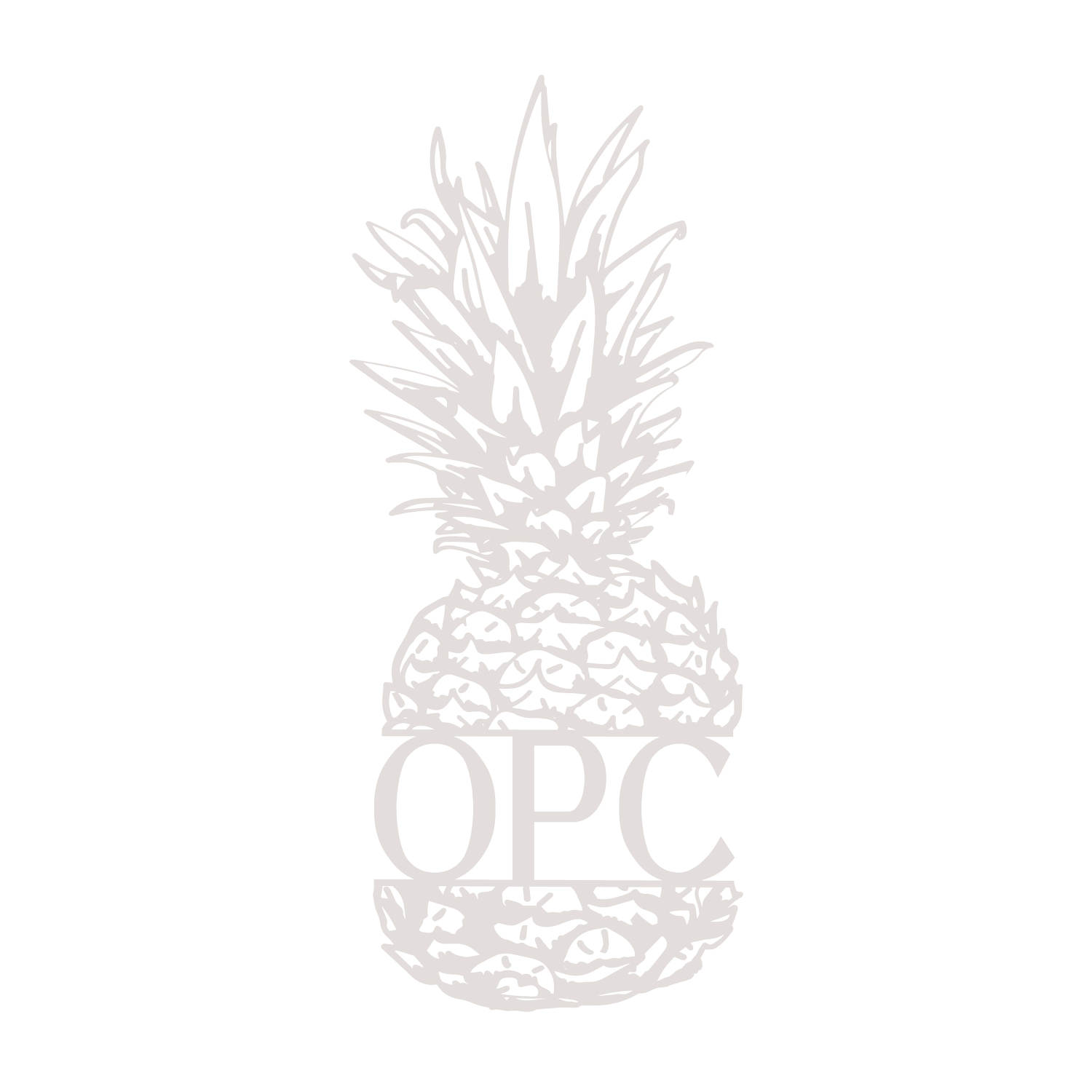 Ocean Point Construction