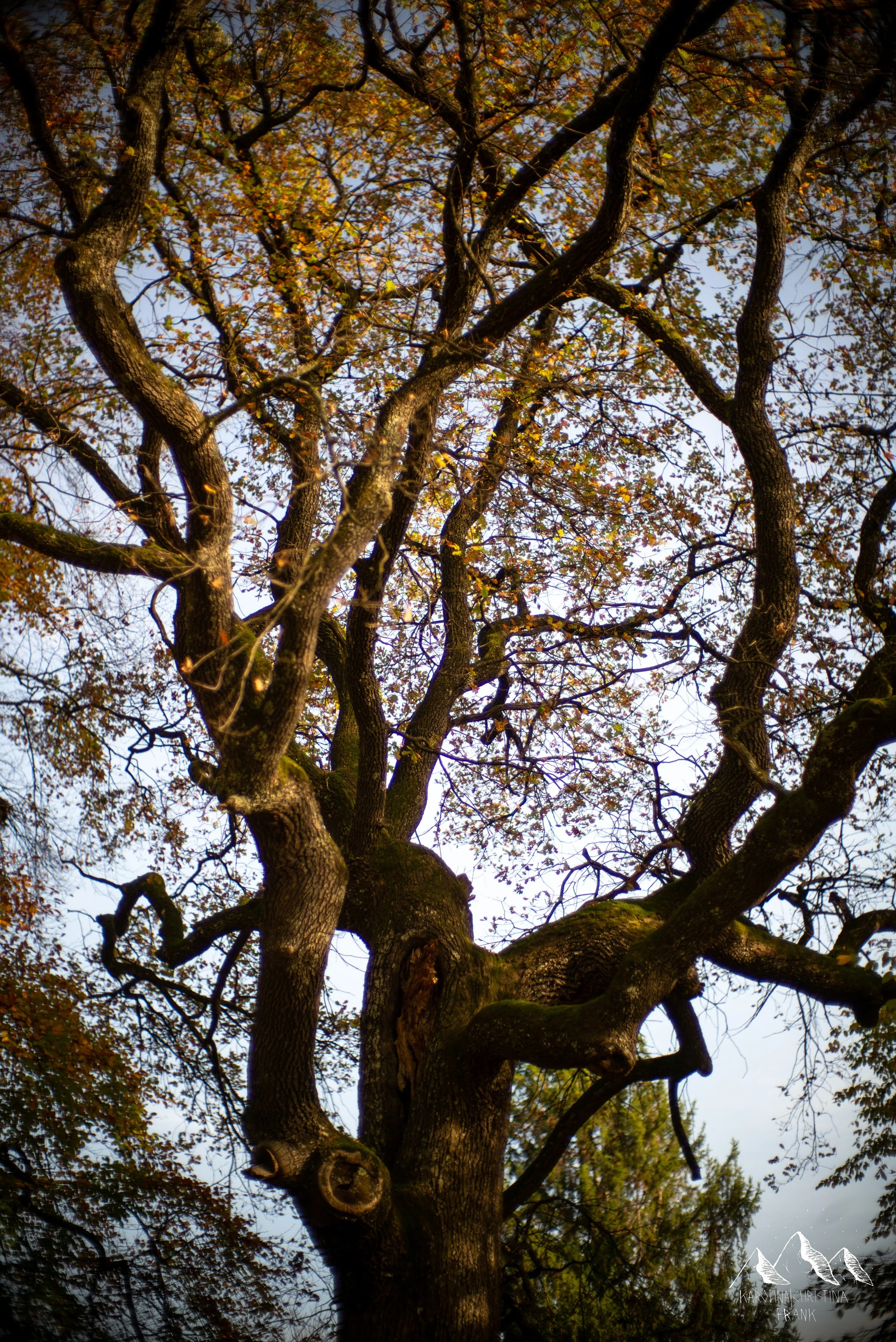 Karolina Frank Photography_-19.jpg