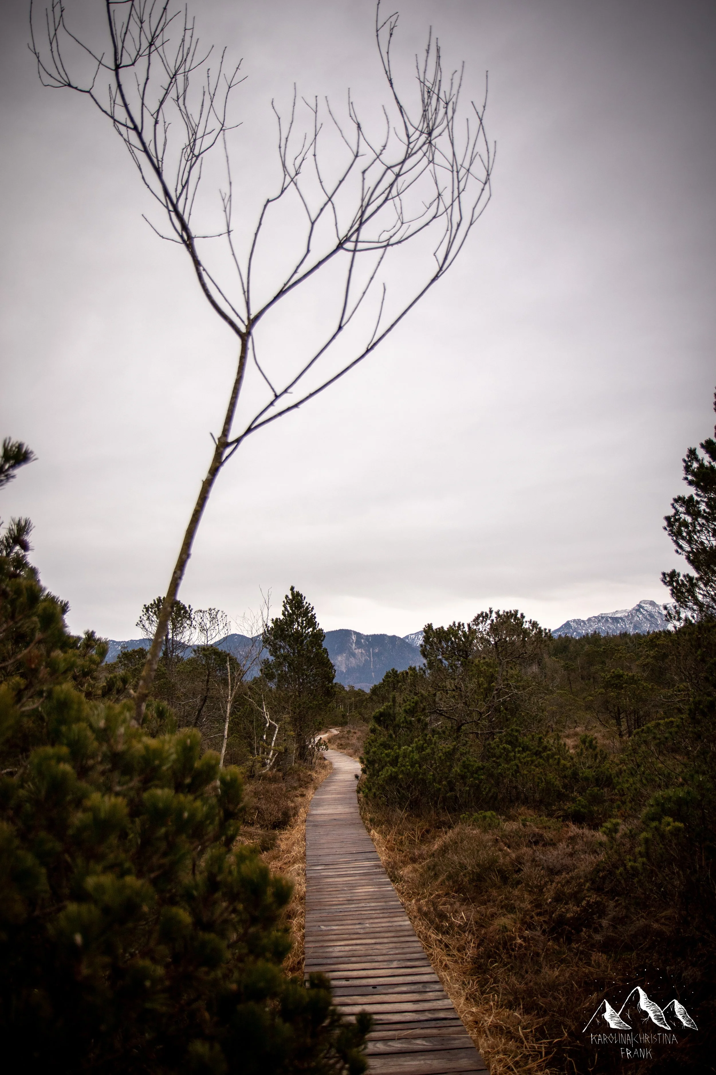 Karolina Frank Photography_-78.jpg