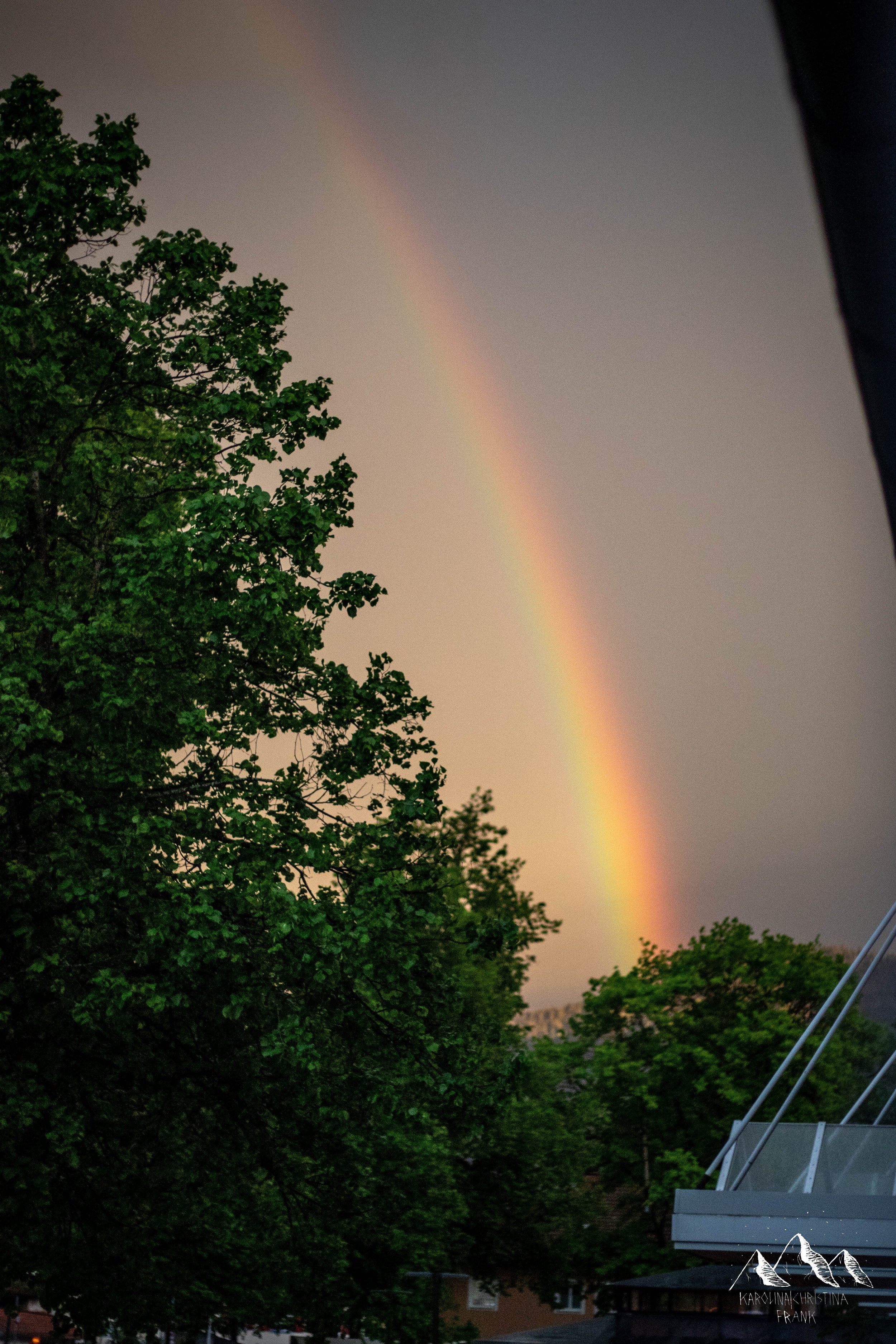 Karolina Frank Photography 1-4.jpg