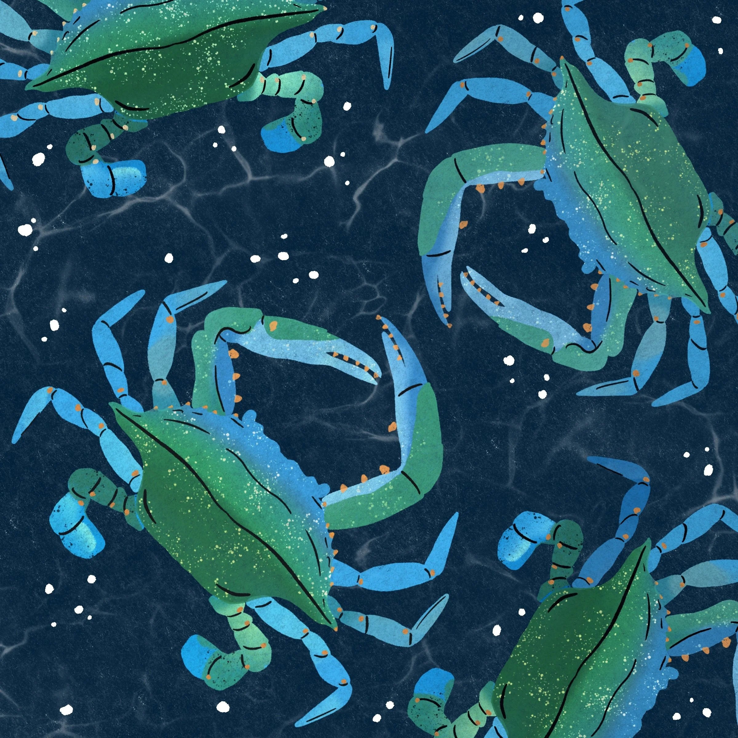 Maryland Blue Crabs.JPG