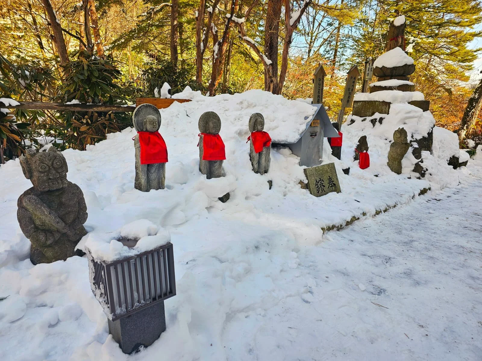 WhatsApp Image 2026-01-01 at 20.22.35.jpeg