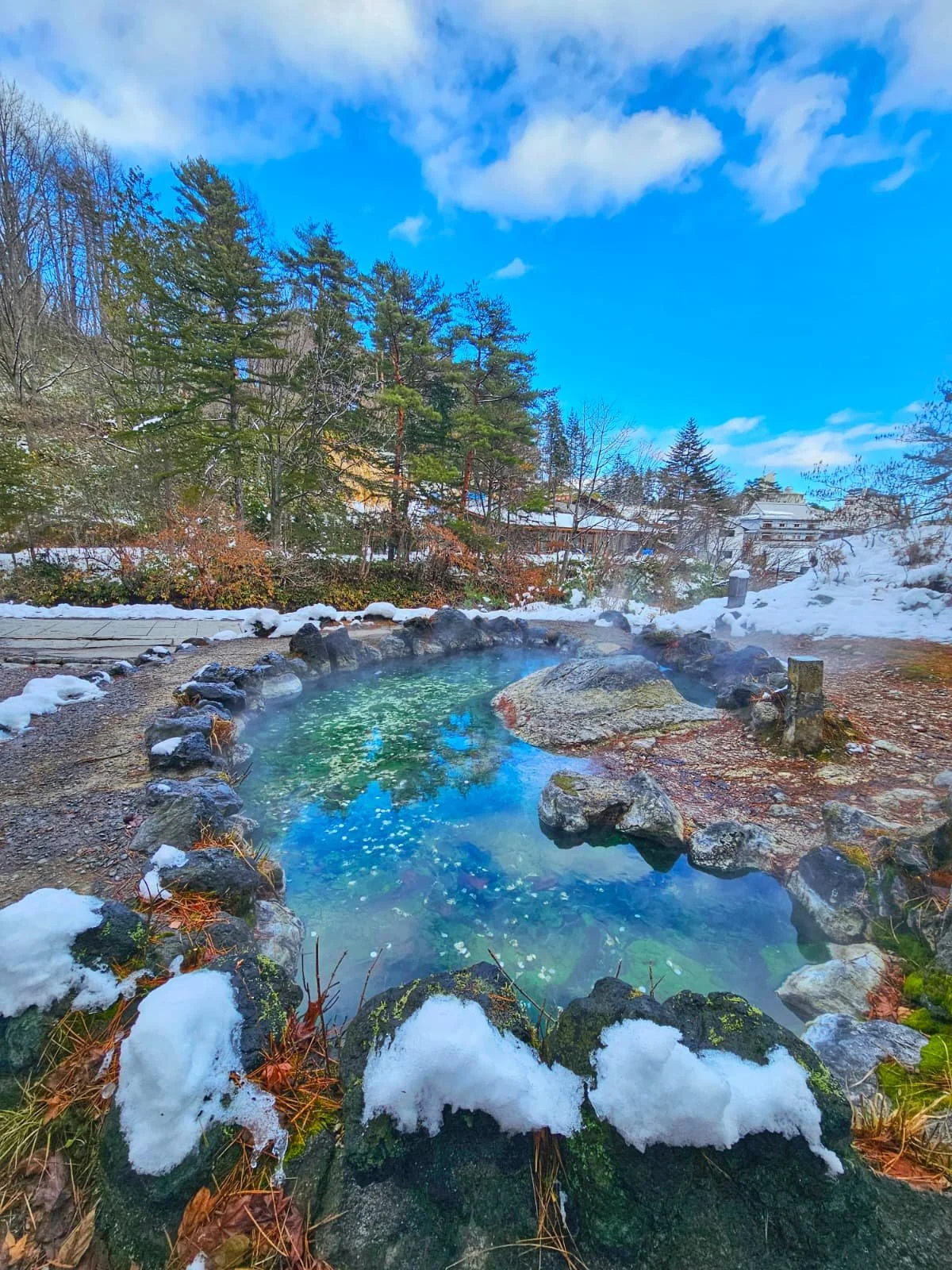 WhatsApp Image 2026-01-01 at 20.24.59.jpeg