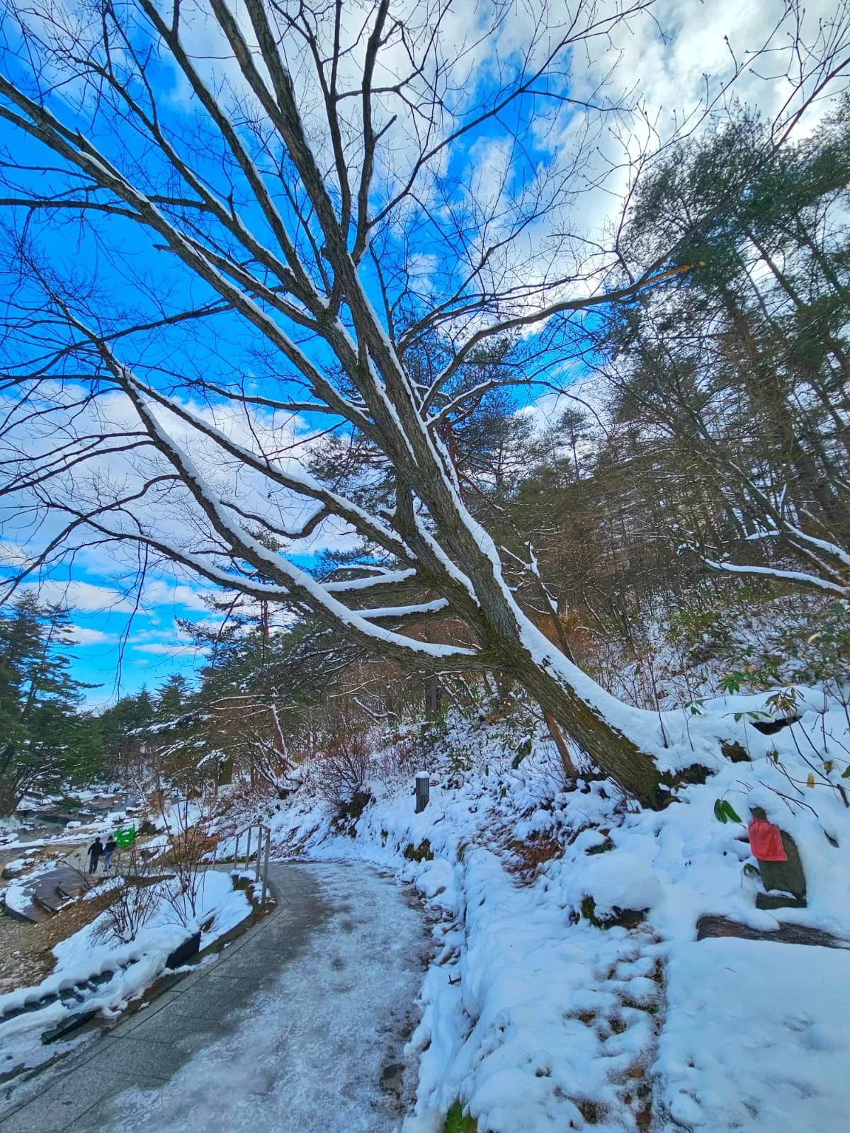 WhatsApp Image 2026-01-01 at 20.25.00.jpeg