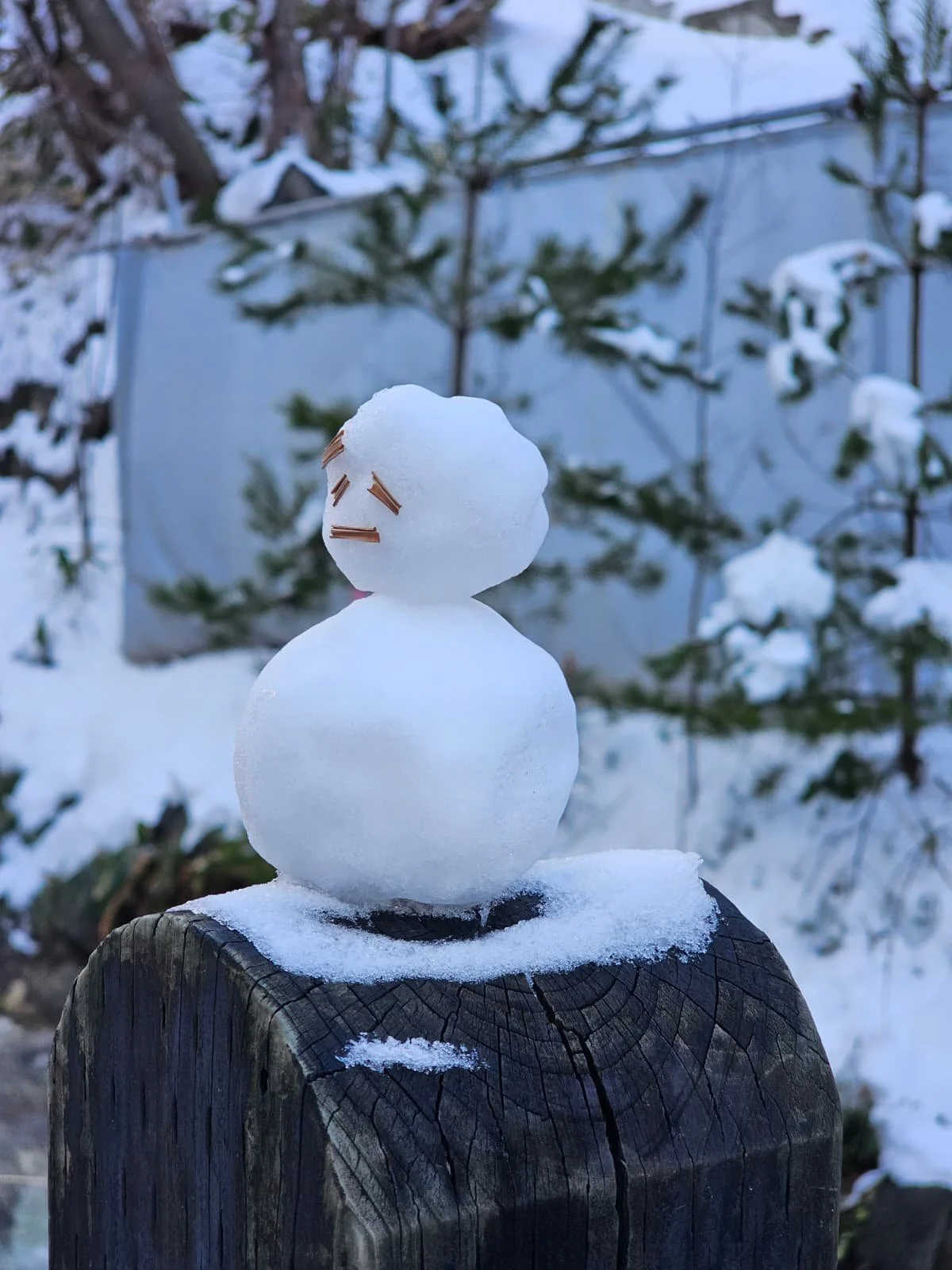 WhatsApp Image 2026-01-01 at 20.25.01.jpeg