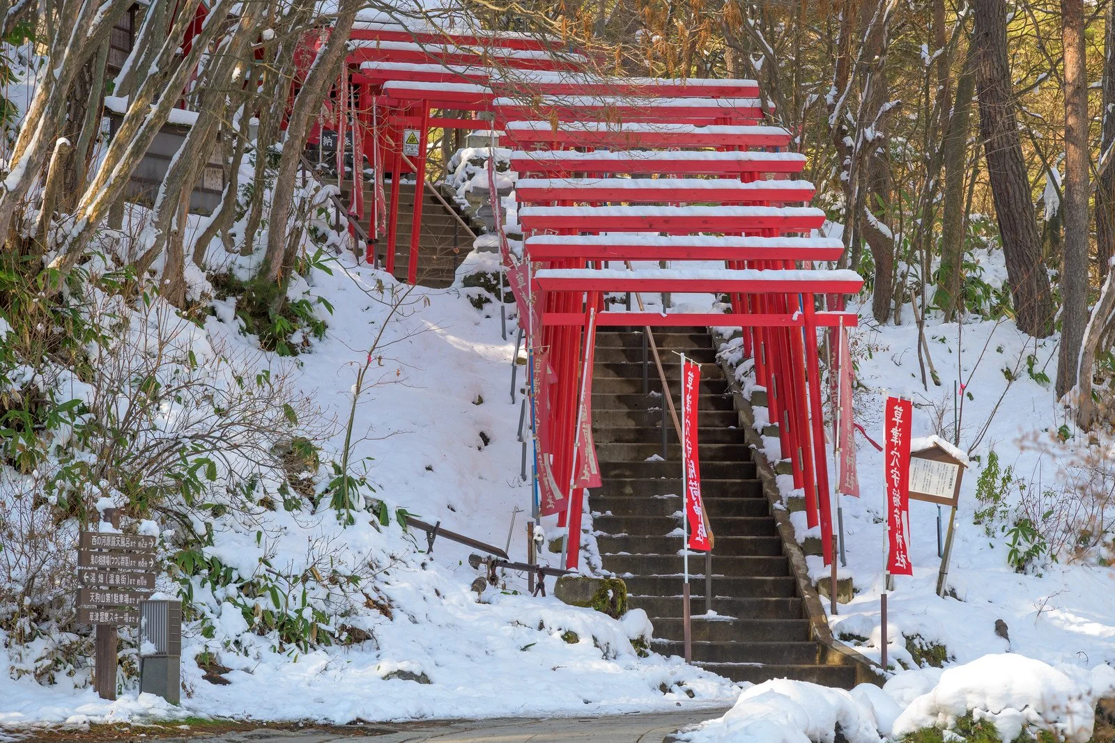 55014268230_b66cf23c5c_h (1).jpg