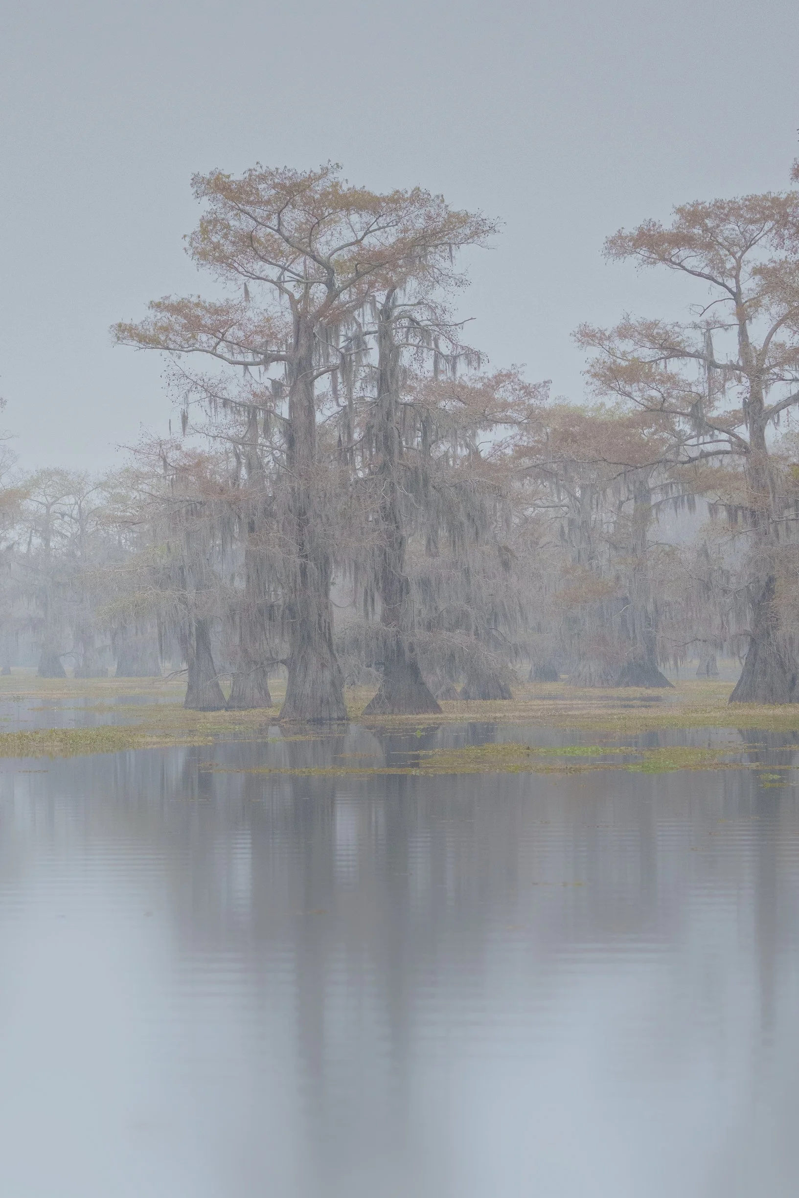 Fall Caddo Lake All-Inclusive Photography Workshop 2026