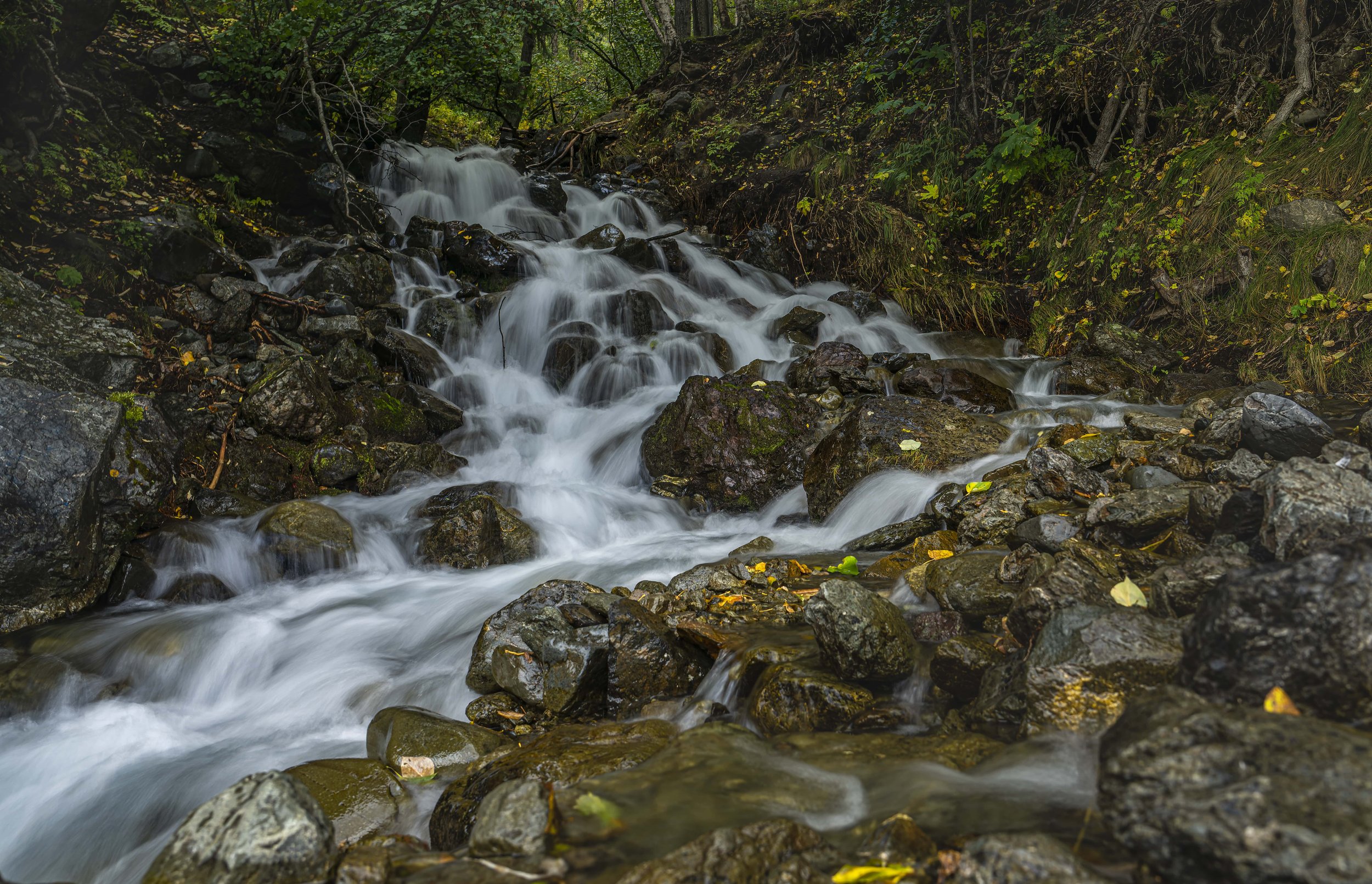 Alaska 20222447-ARW_DxO_DeepPRIME-min.jpg