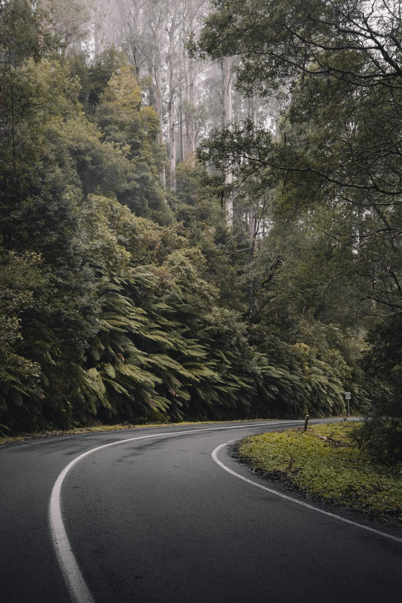 A Road Less Travelled