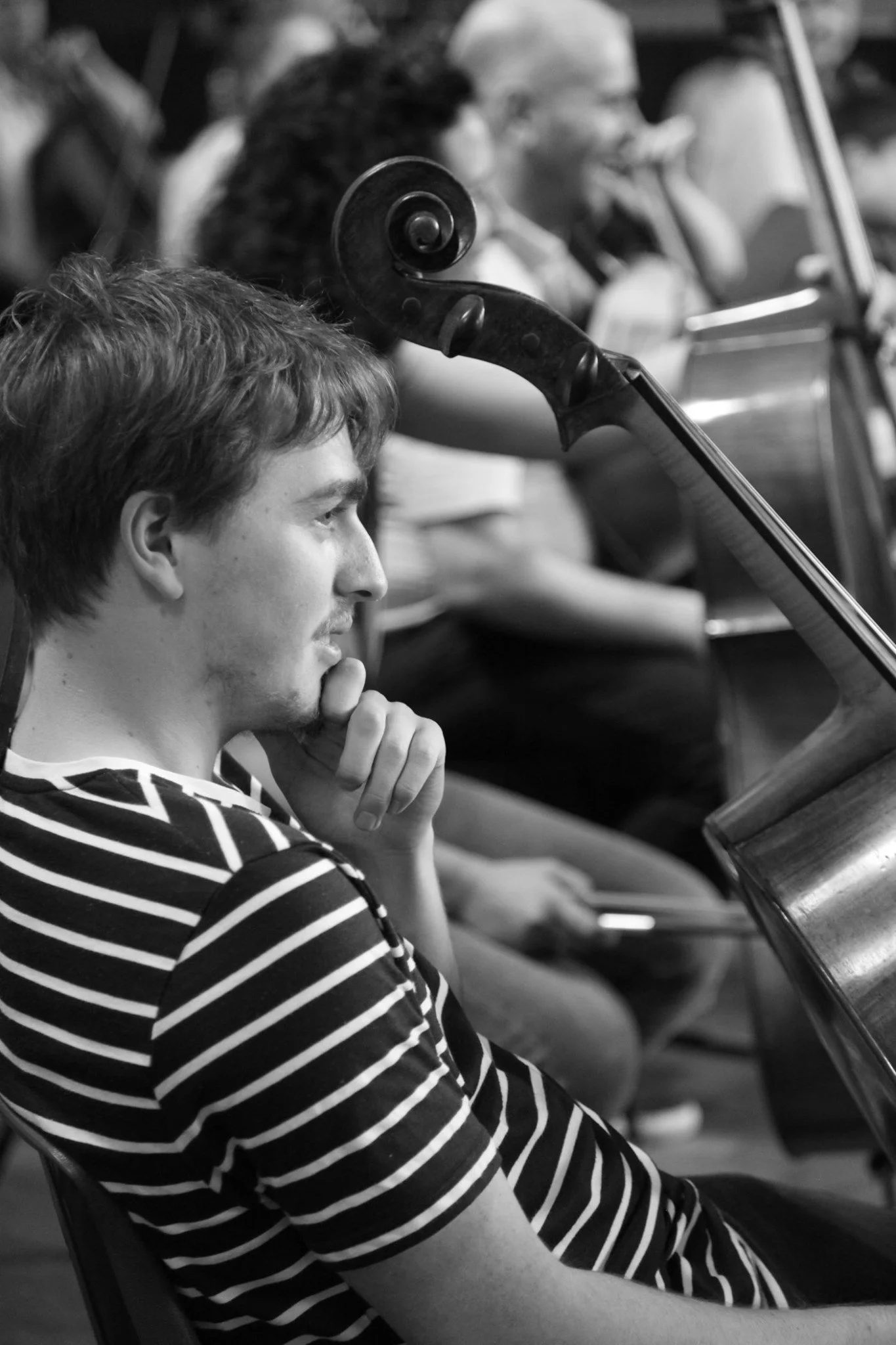 Cellofest