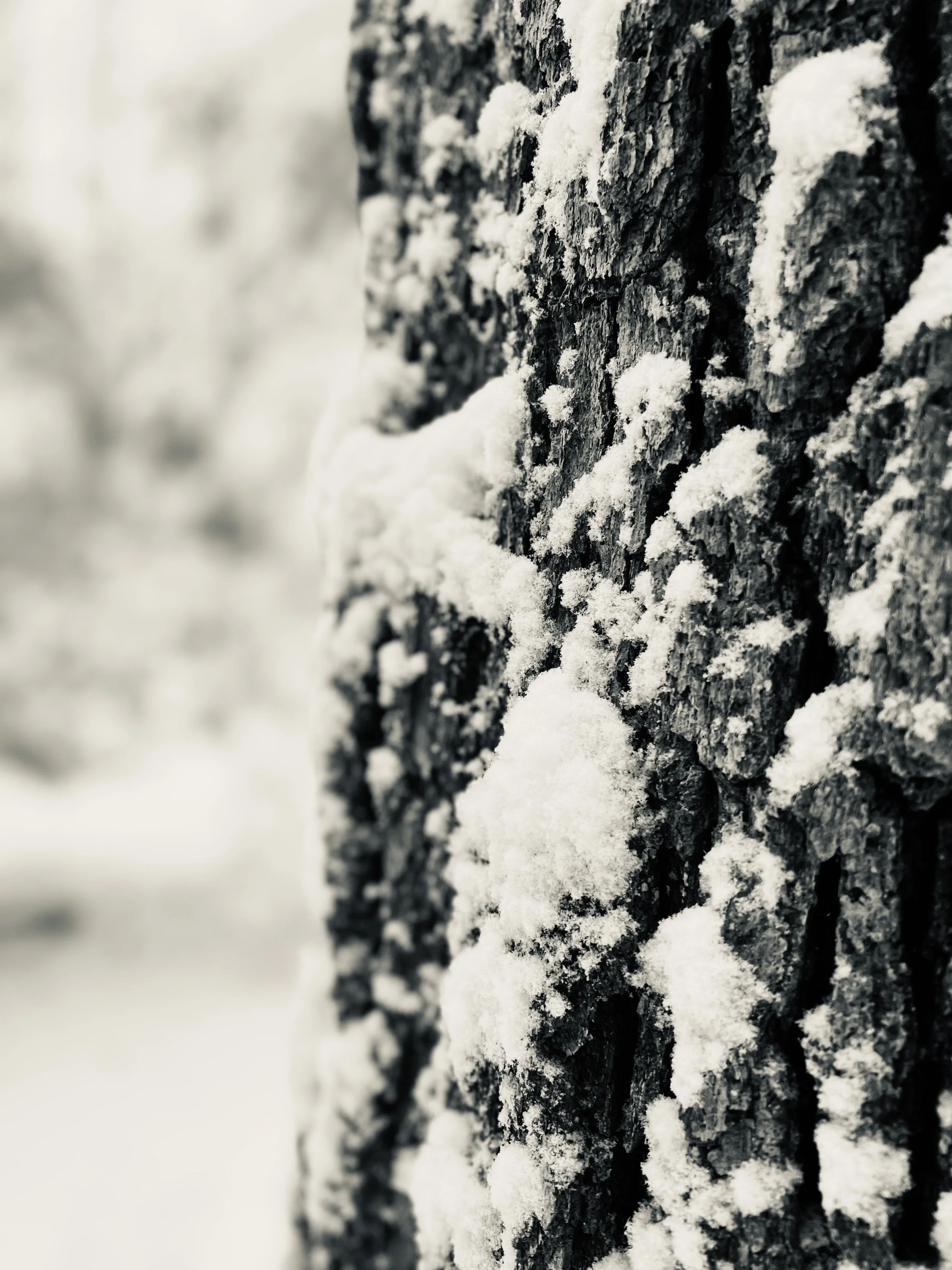 D68CAAE7-F1CE-40F5-95CC-B512D4CB71C6.jpeg