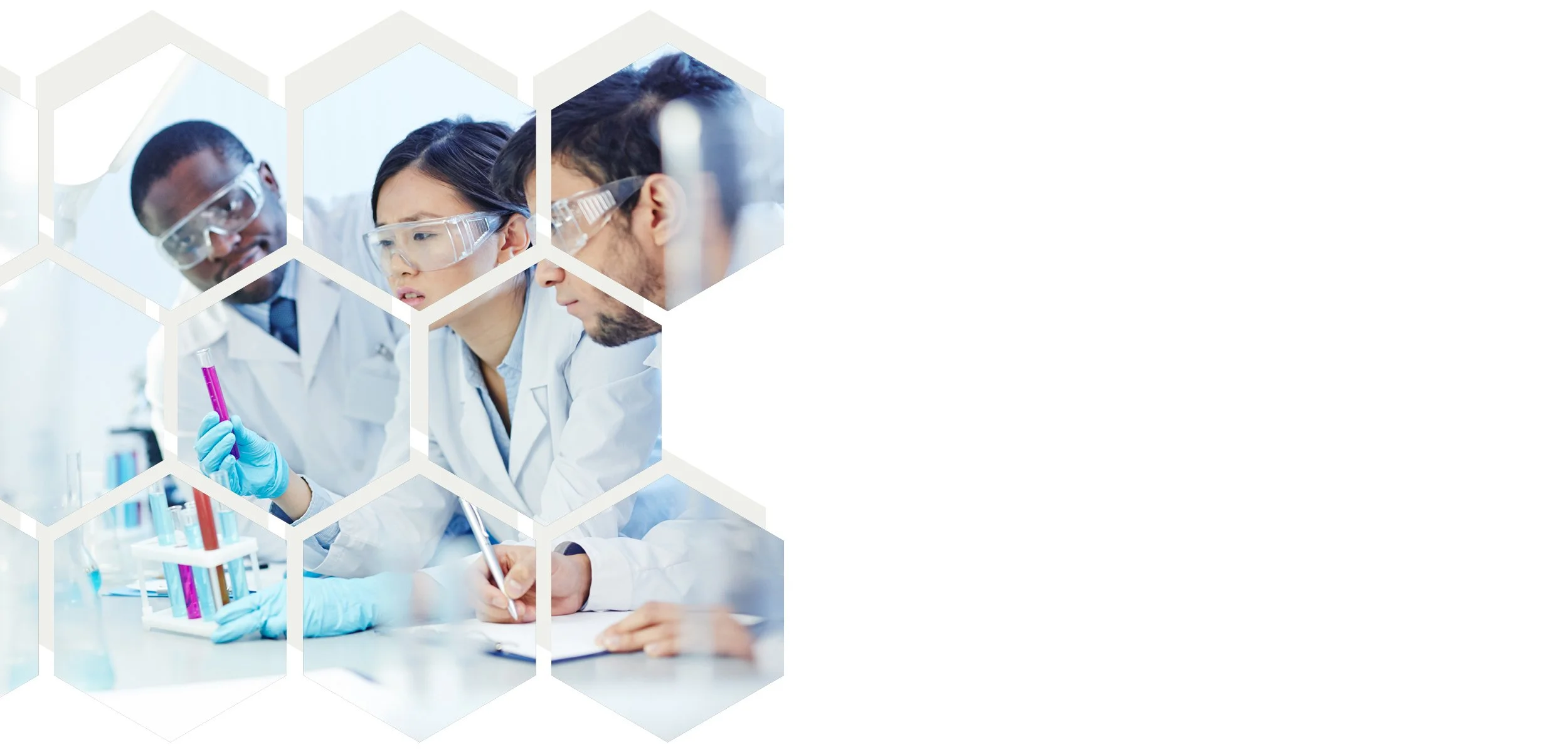 Overview Catalyst Education