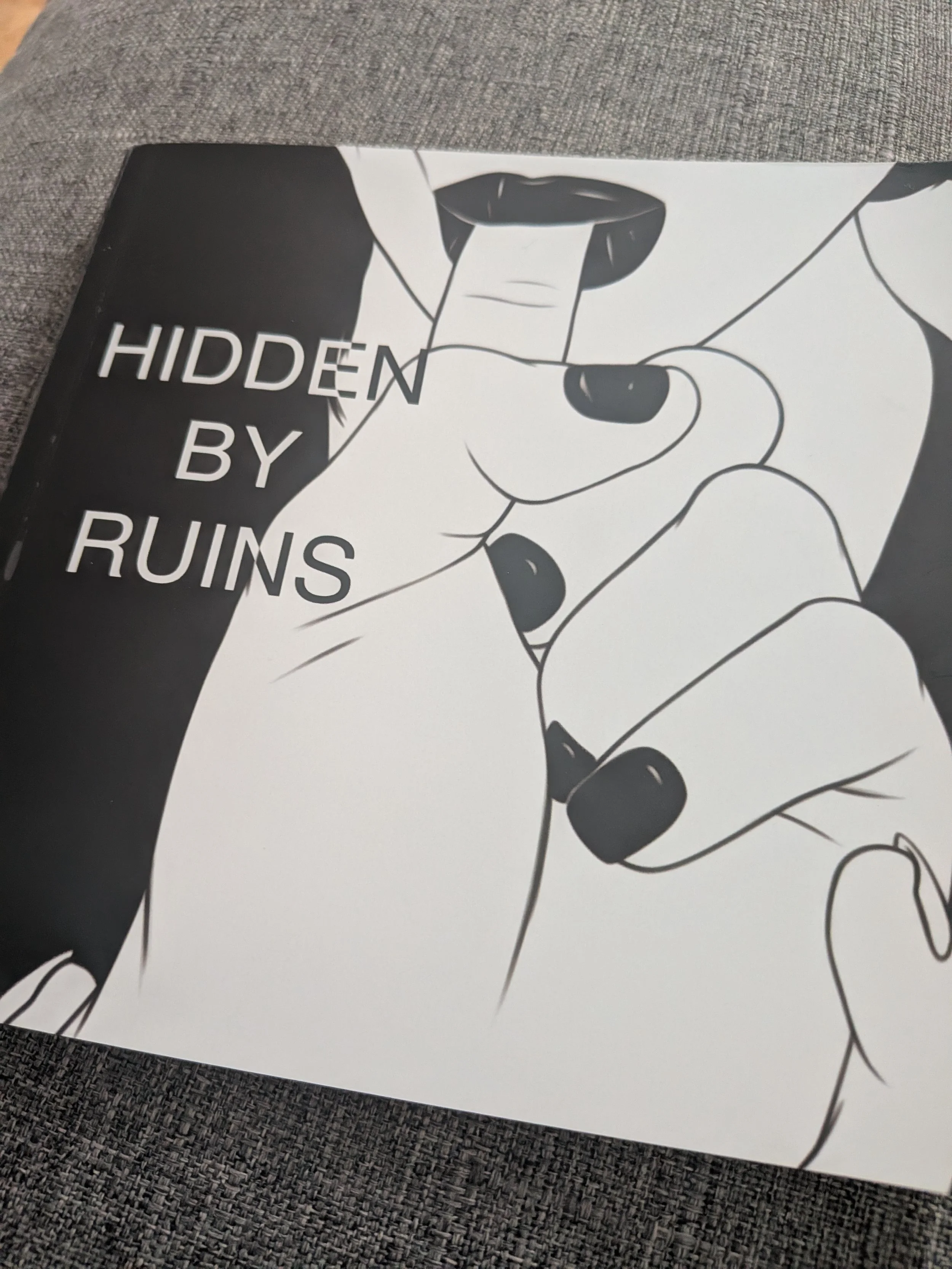 Art book (Collectors Edition)