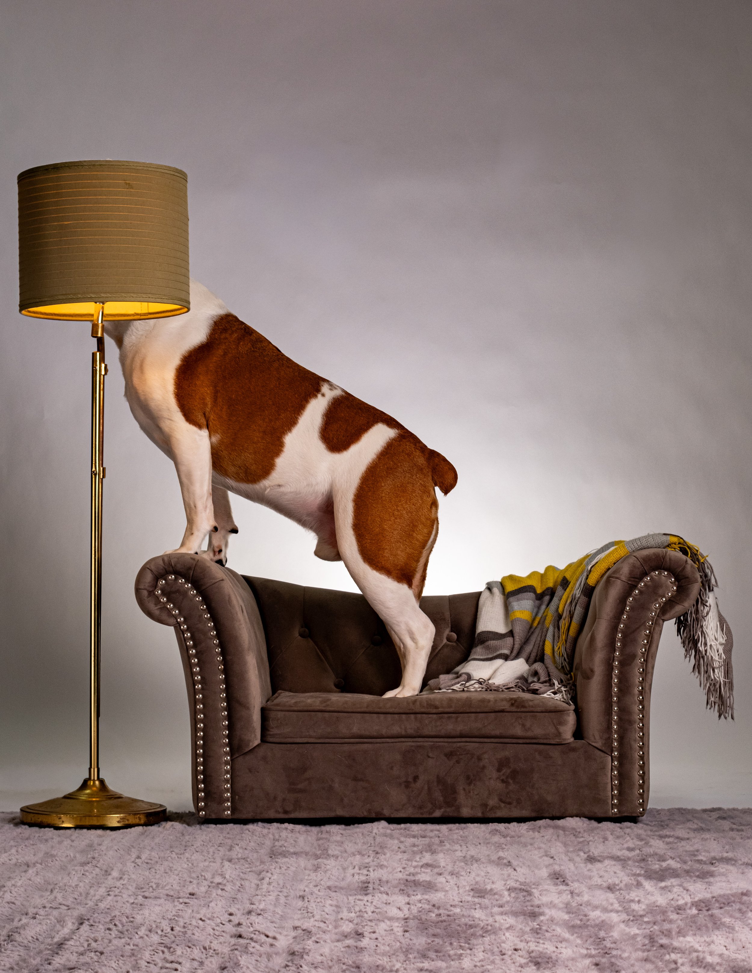 Ly-3.jpg