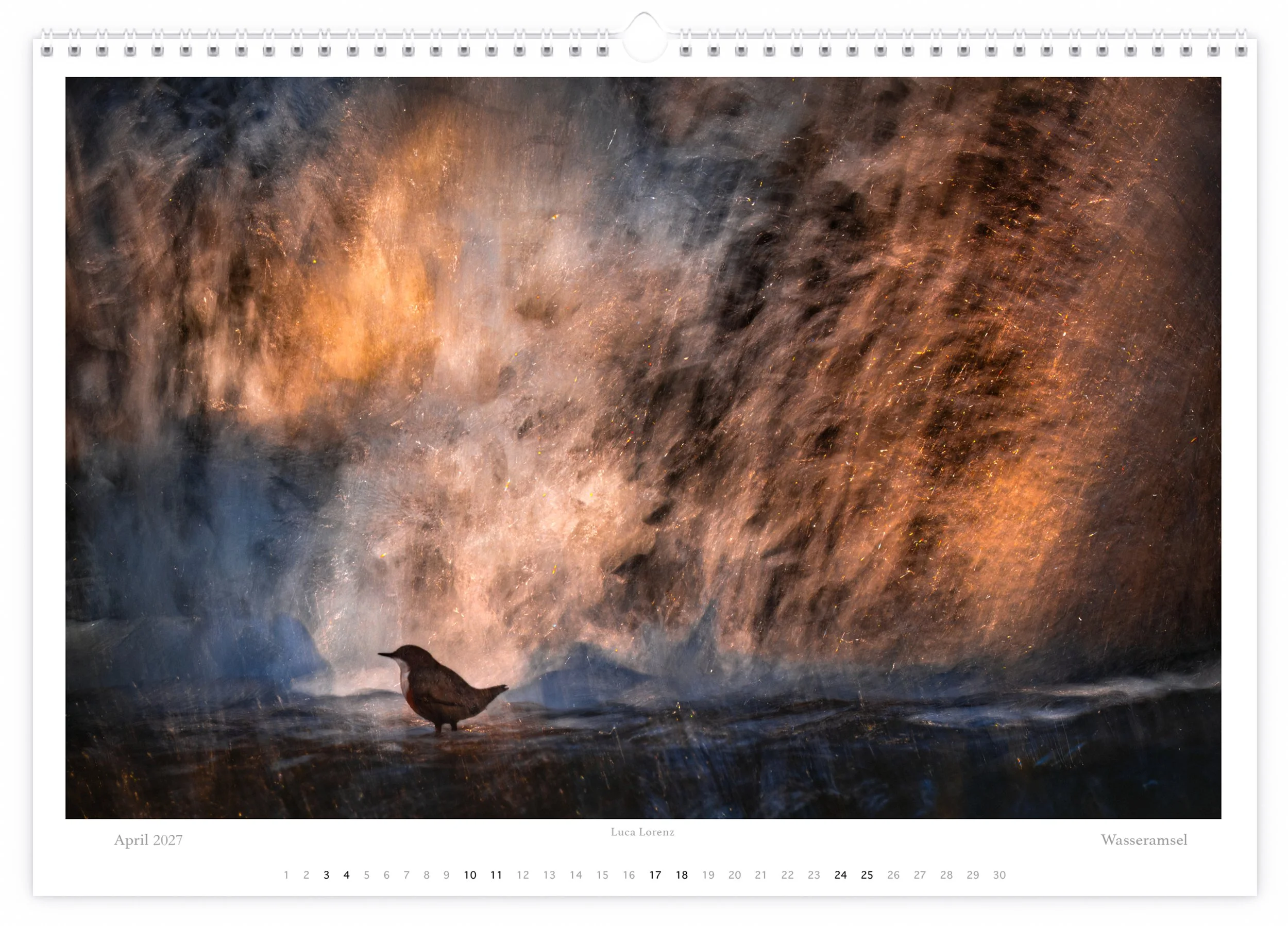 Kalender 2027 Luca Lorenz Wasseramsel.jpg