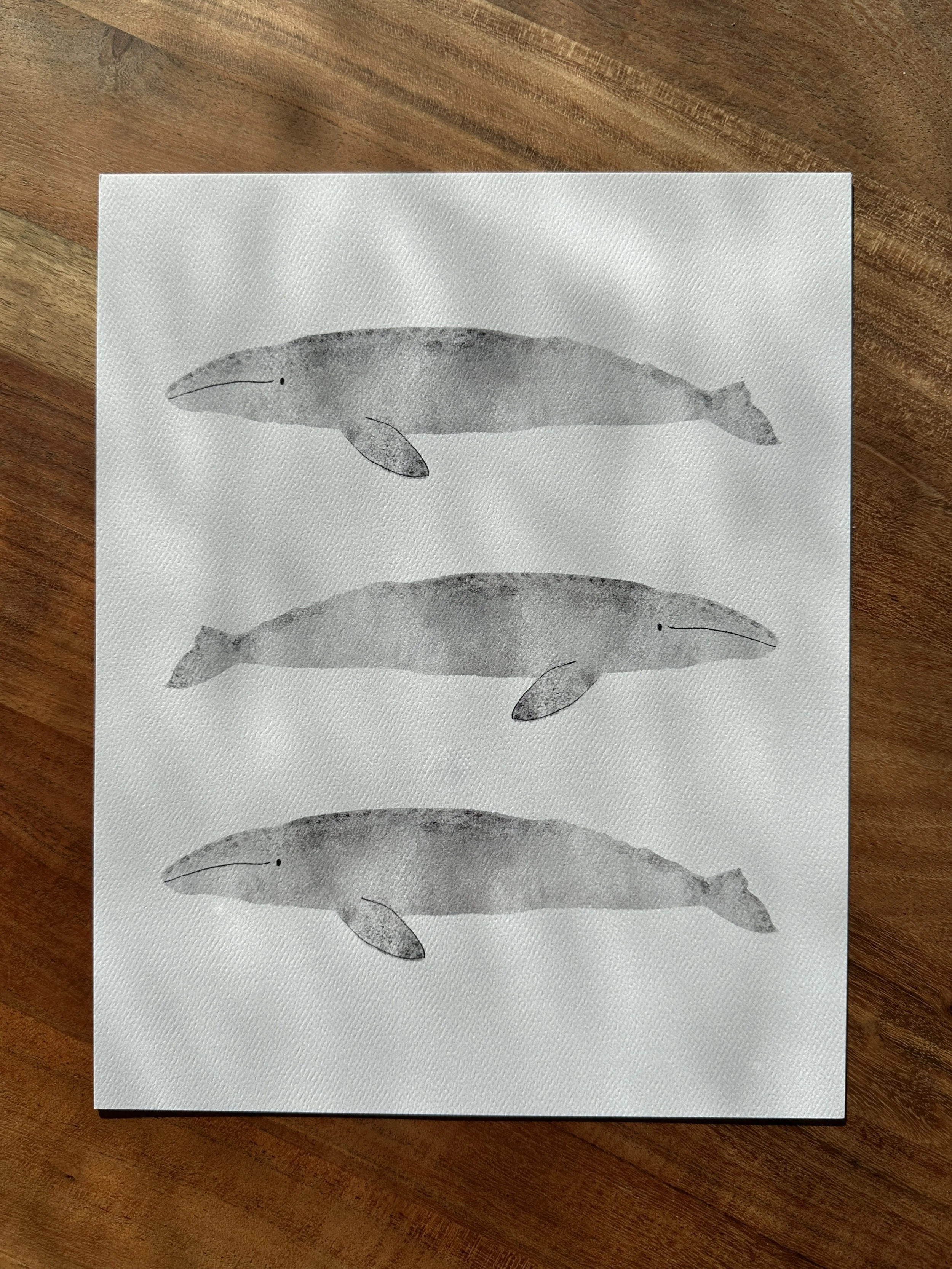 graywhaletrio.jpg